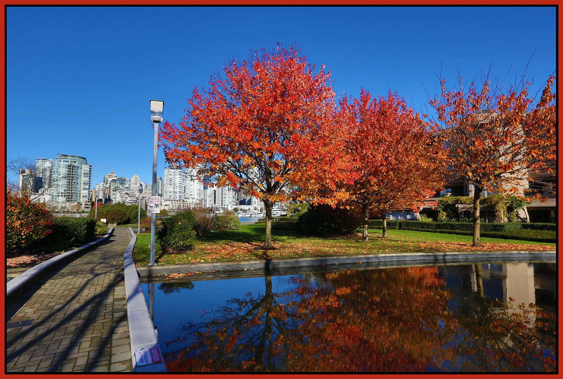 2.5 View LkgN Trees_Nov 11_2015_HDR_H1234_4x6s.jpg