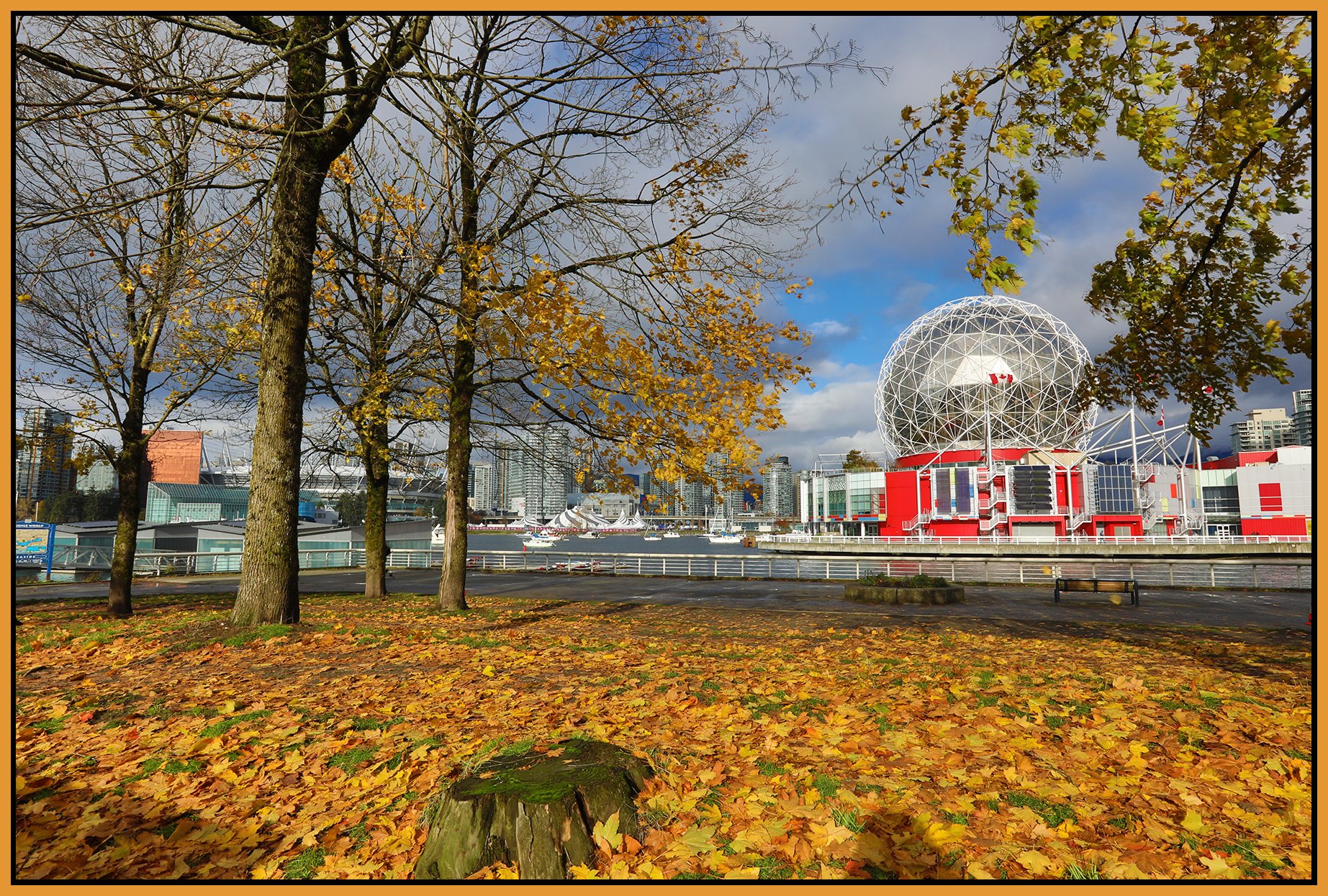 4 View False Ck_Nov 19_2023_HDR_5C9708_4x6s.jpg