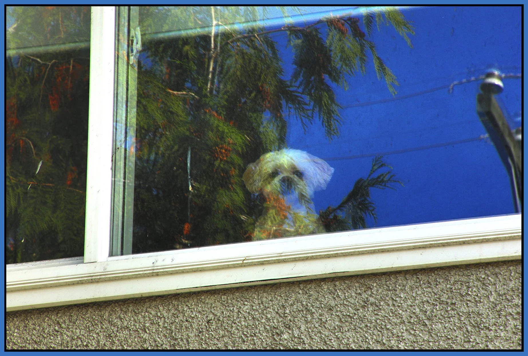 TJ?_Oct 10_2024_HDR_5E2506_4x6s.jpg