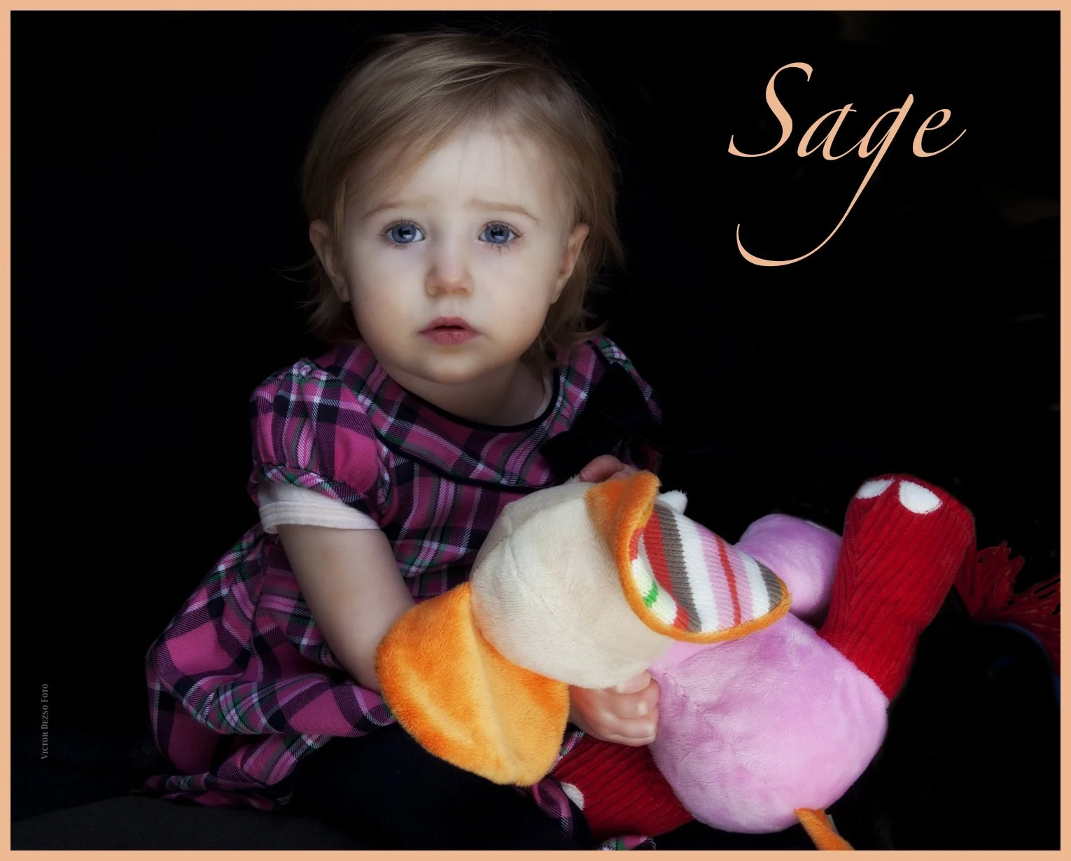 Sage_Jan 2_2011_8743_1v_4x5s.jpg