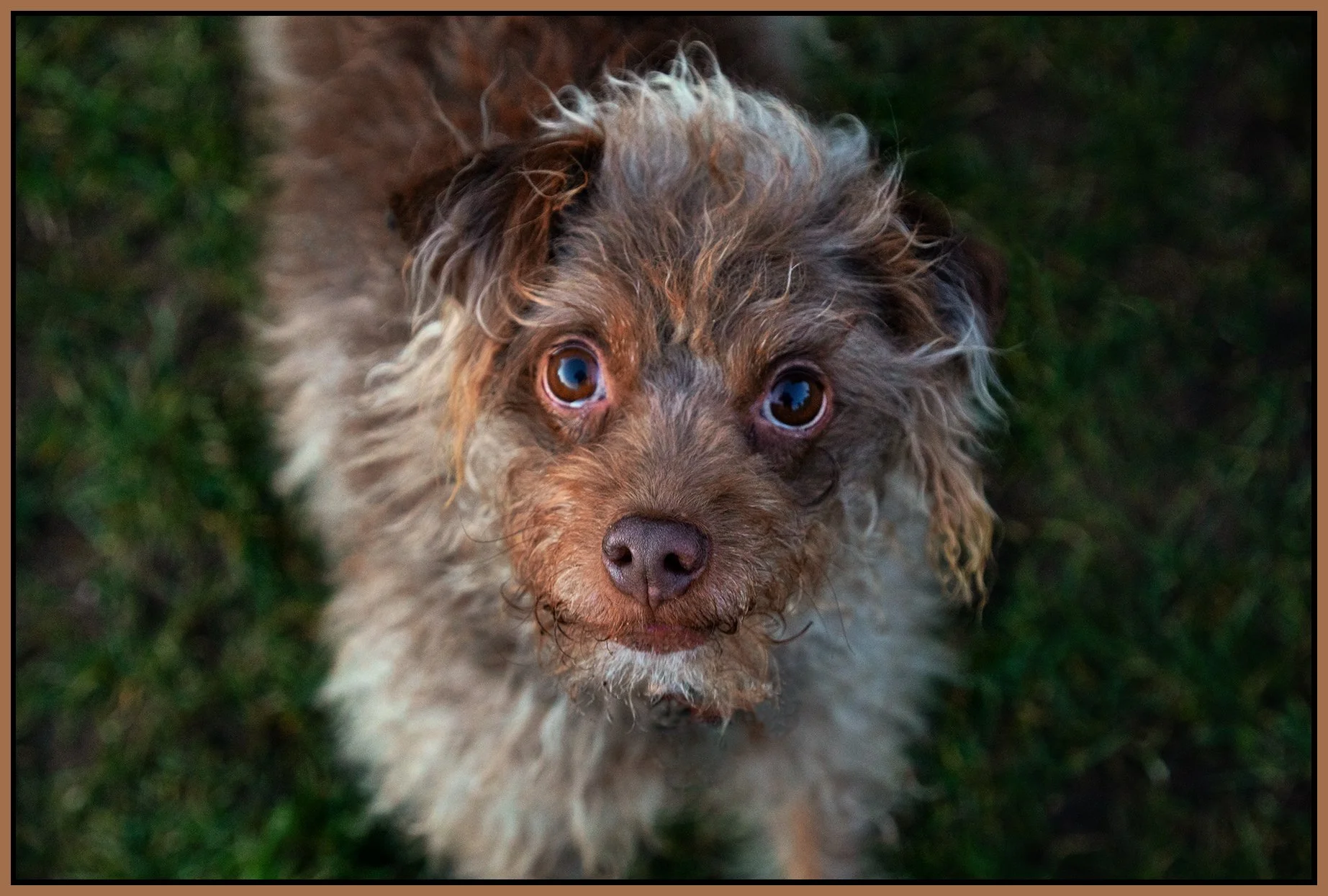 Frances_Mar 3_2022_HDR_4G7440_peHyprstrip_Hdri_4x6s.jpg