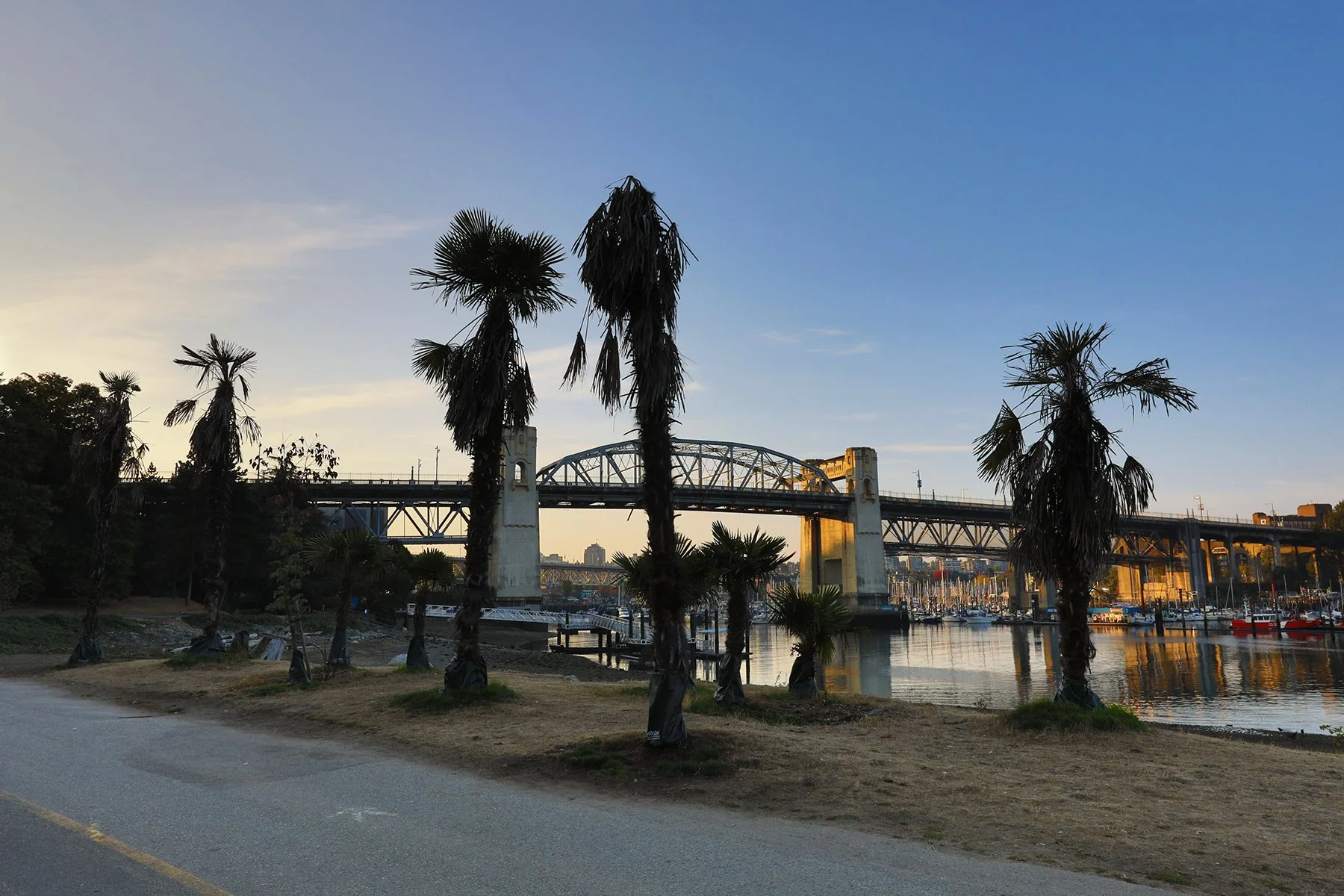 Sunset Beach Palms_Oct 5_2022_HDR_5C0614_4x6.jpg