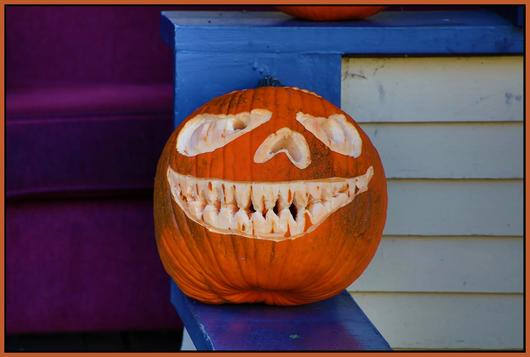 Pumpkin_Oct 31_2021_HDR_4G4558_4x6s.jpg