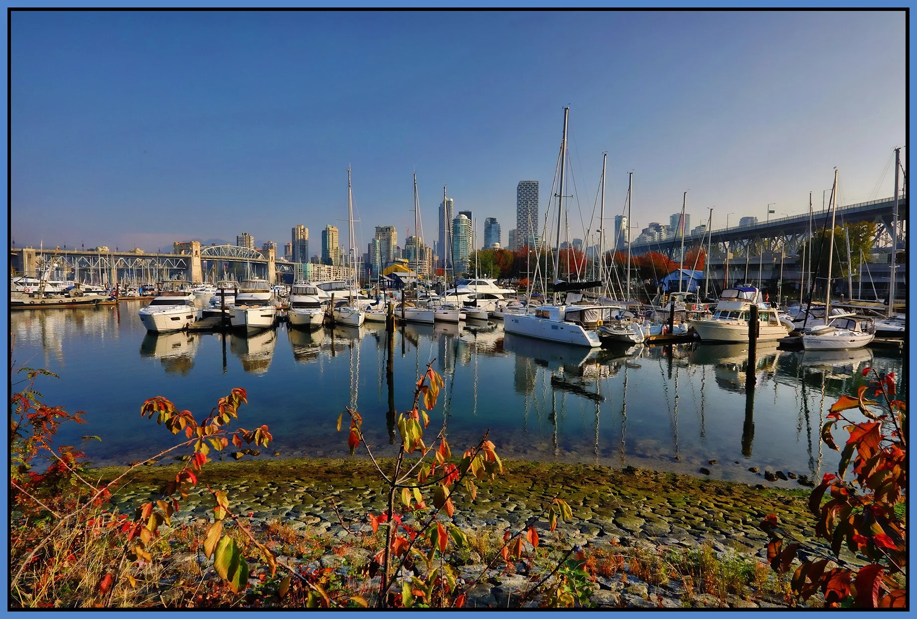 Vancouver LkgN from Creekside_Oct 19_2022_HDR_5C3990_peSC_4x6s.jpg