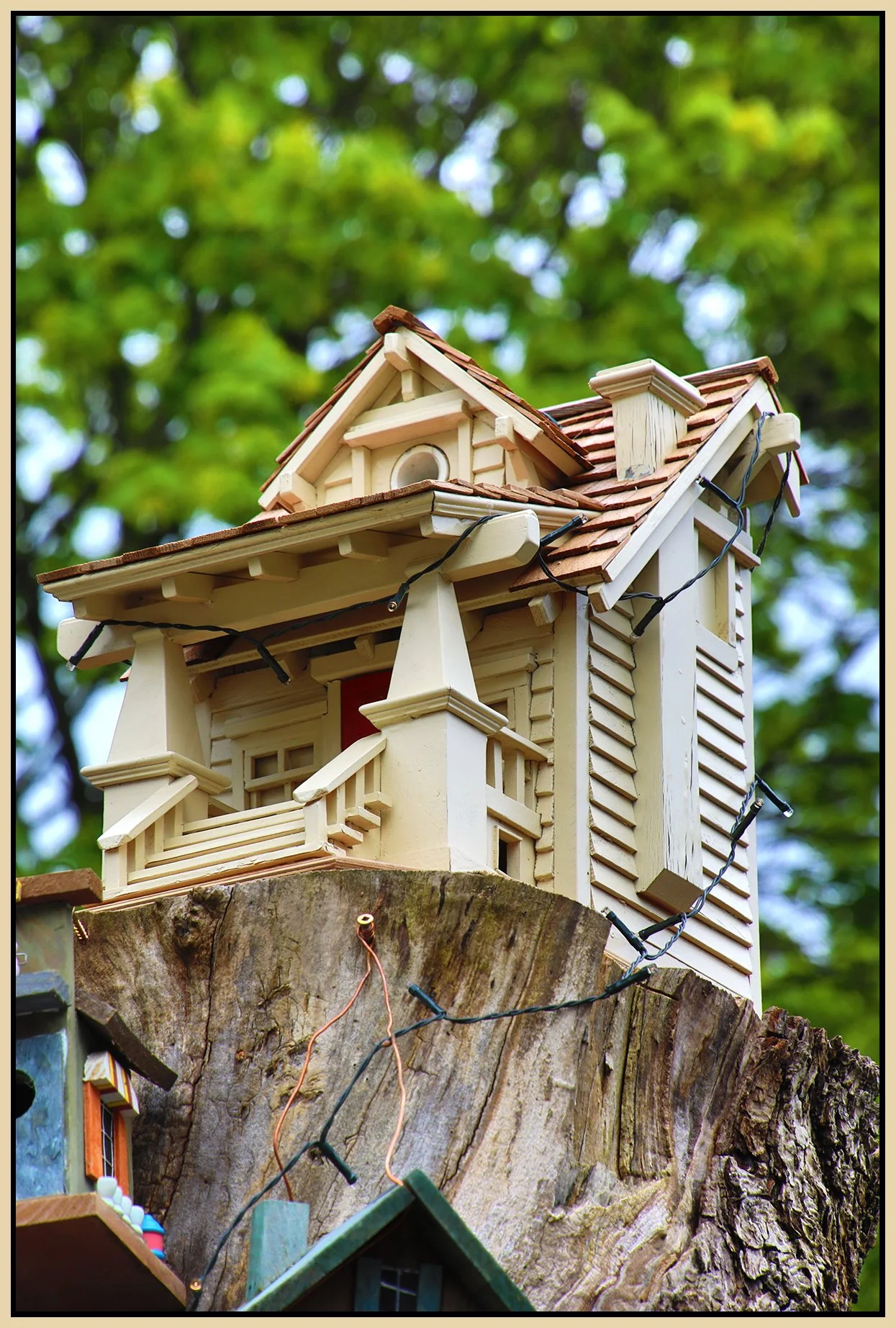 580 Heatley Tree House_Apr 26_2026_HDR_4H7342_4x6s.jpg