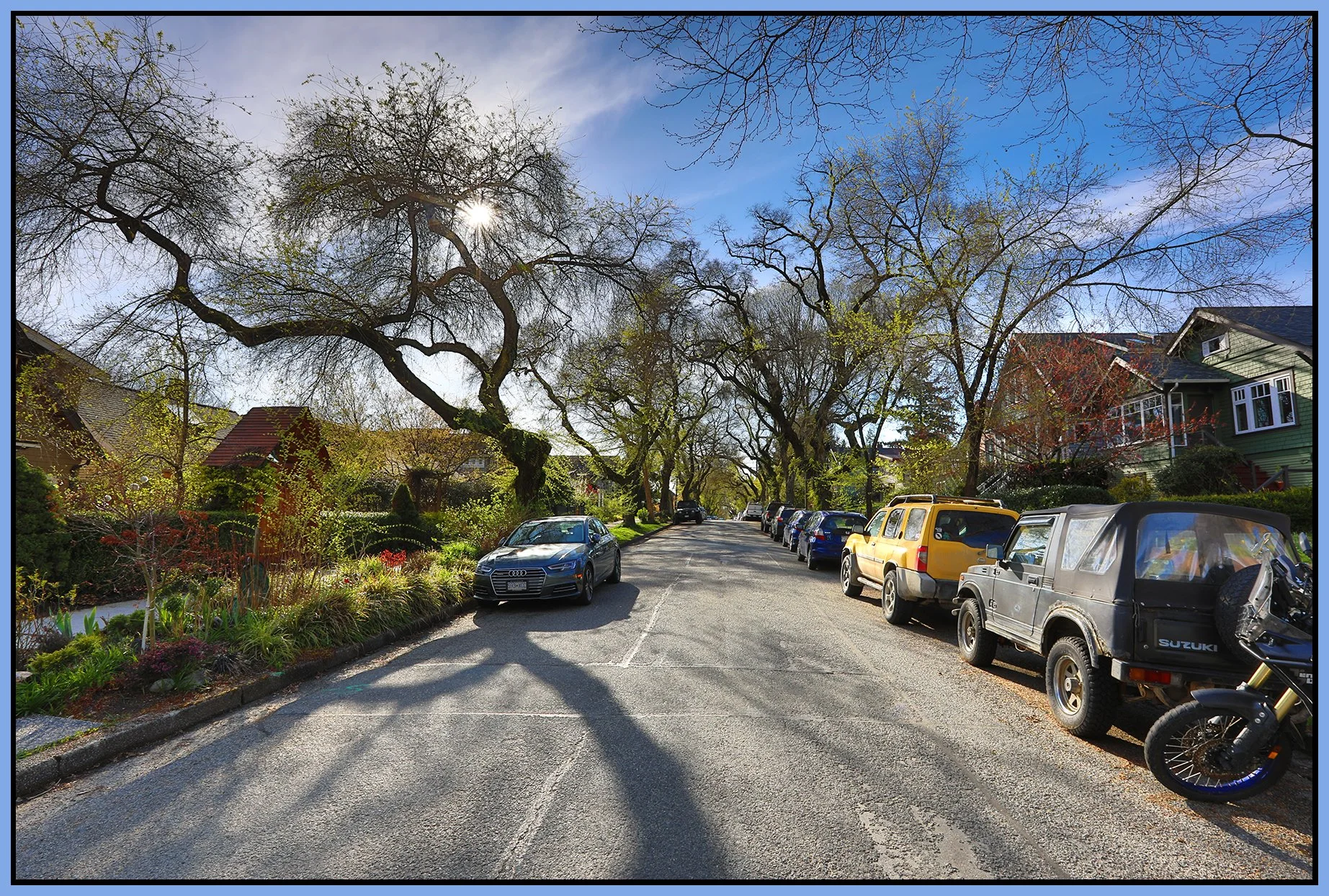 2100 E 6th Ave Trees_Apr 3_2024_HDR_4H6394_4x6s.jpg