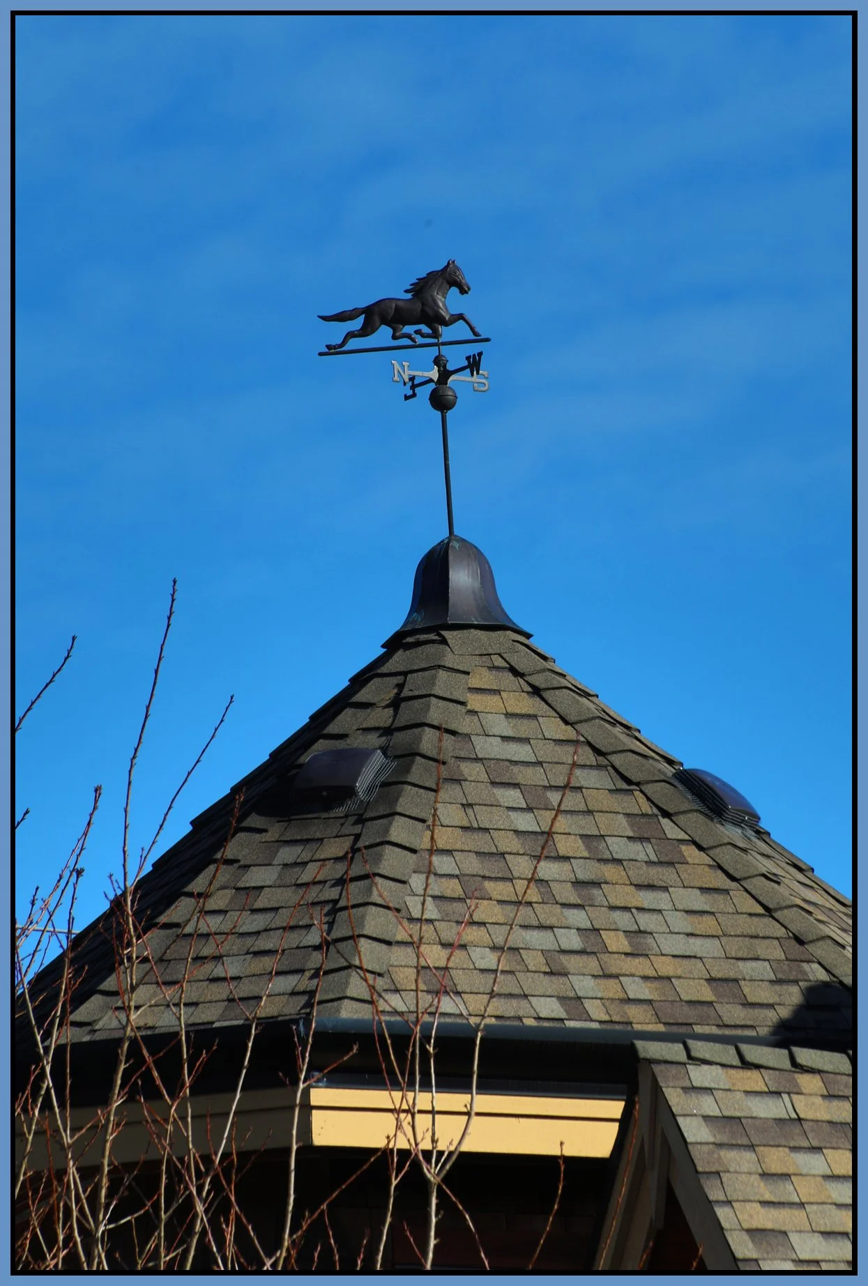 Weather Vane New West_Feb 12_2017_HDR_A0264_4x6s.jpg