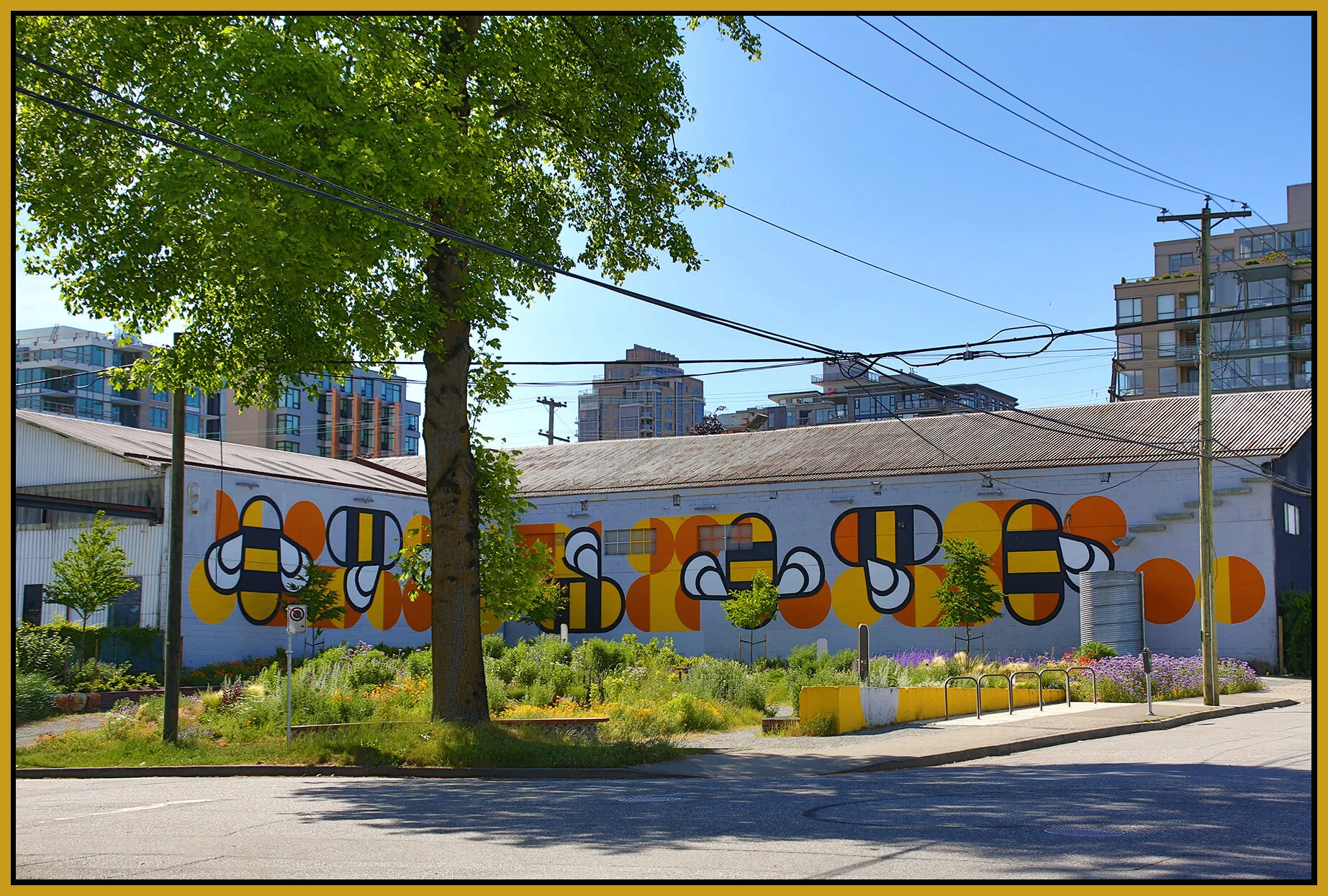 Pine St Mural_May 27_2018_HDR_A3799_4x6s.jpg