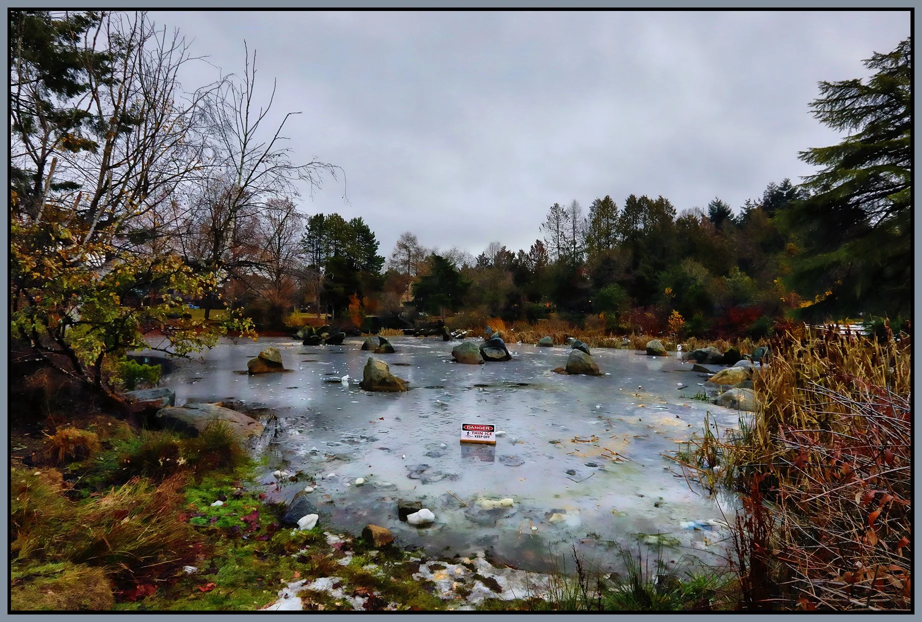 Charleson Pk Pond_Dec 8_2022_HDR_5C8982_peShdngCntrst_4x6s.jpg