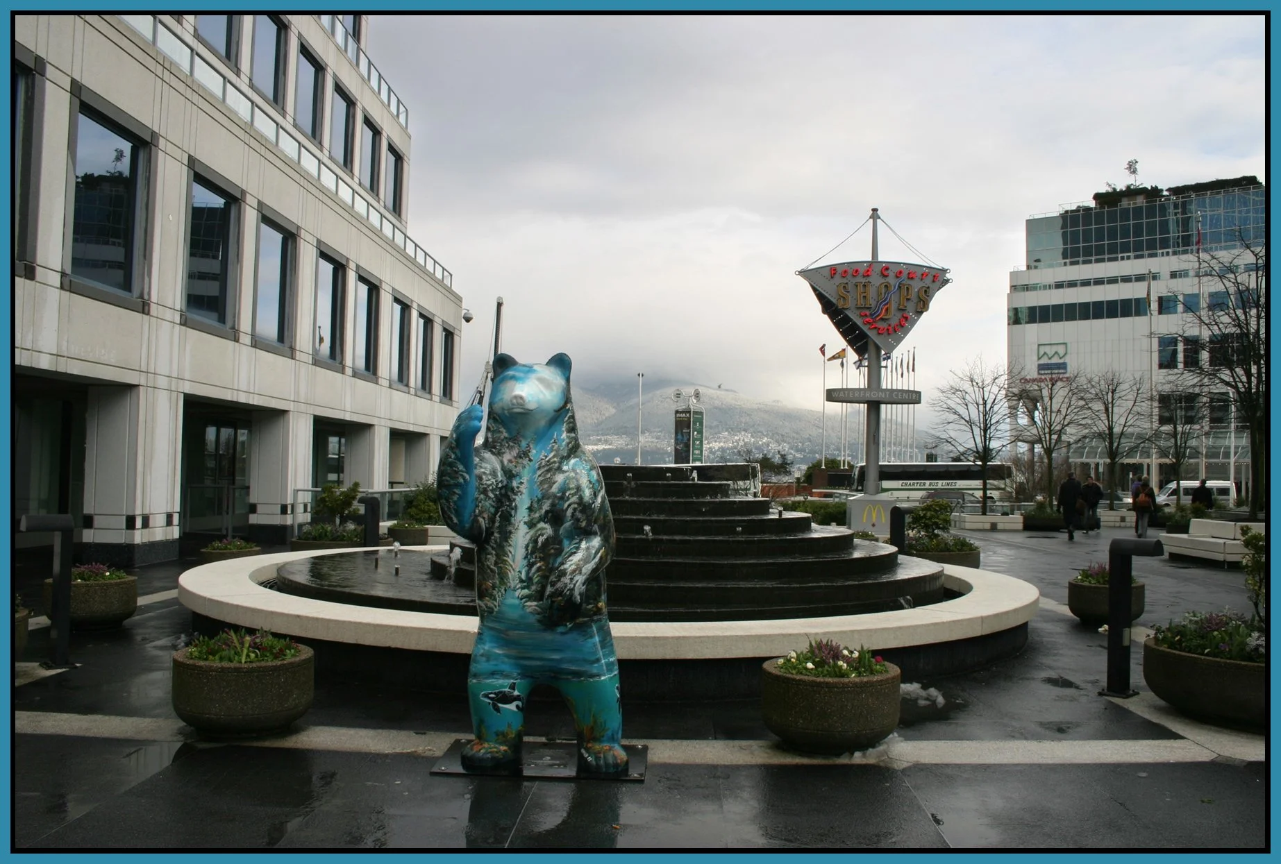 Bears_Mar 10_2006_0690_4x6s.jpg