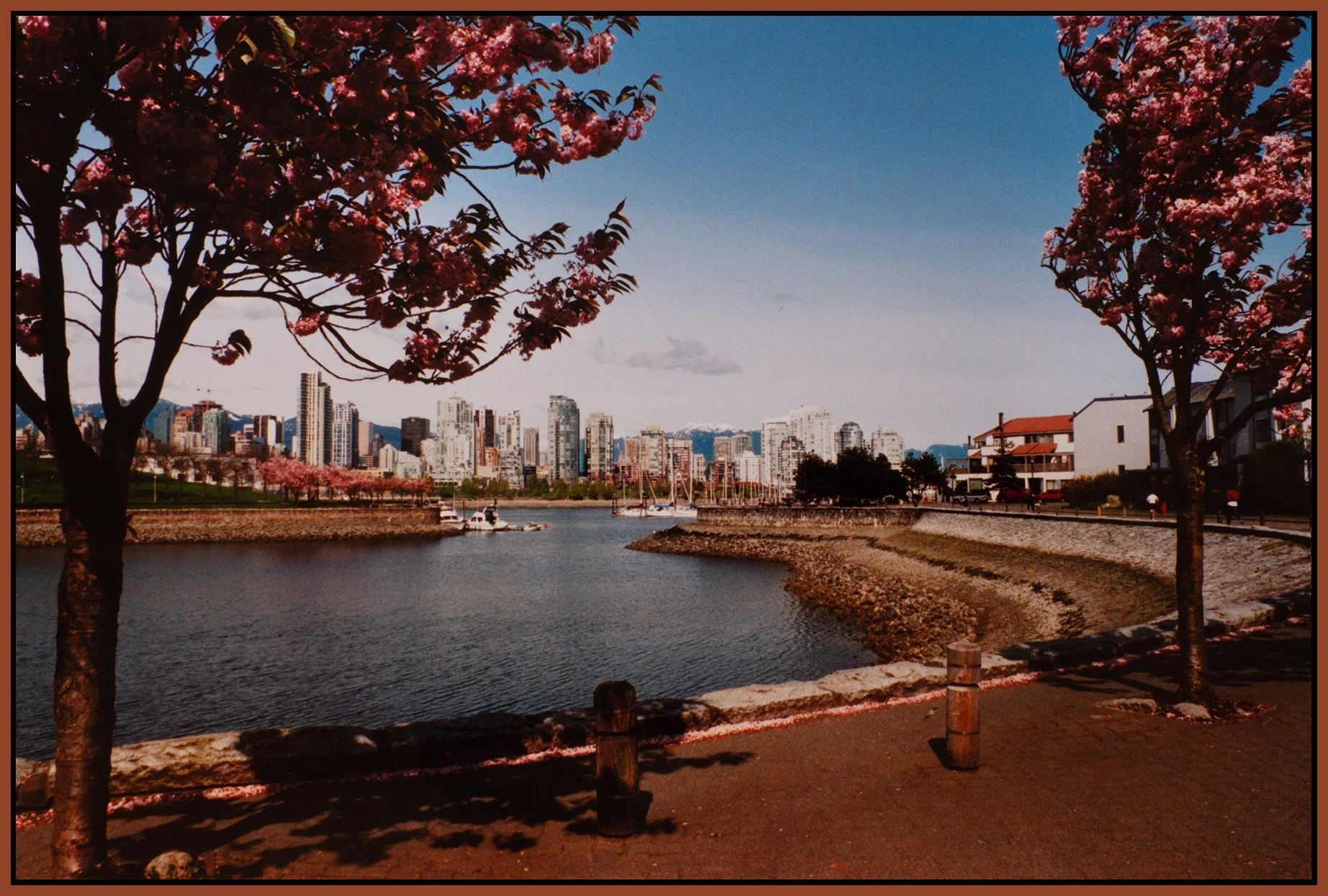 1.1 View False Ck_1998_9203_4x6s.jpg