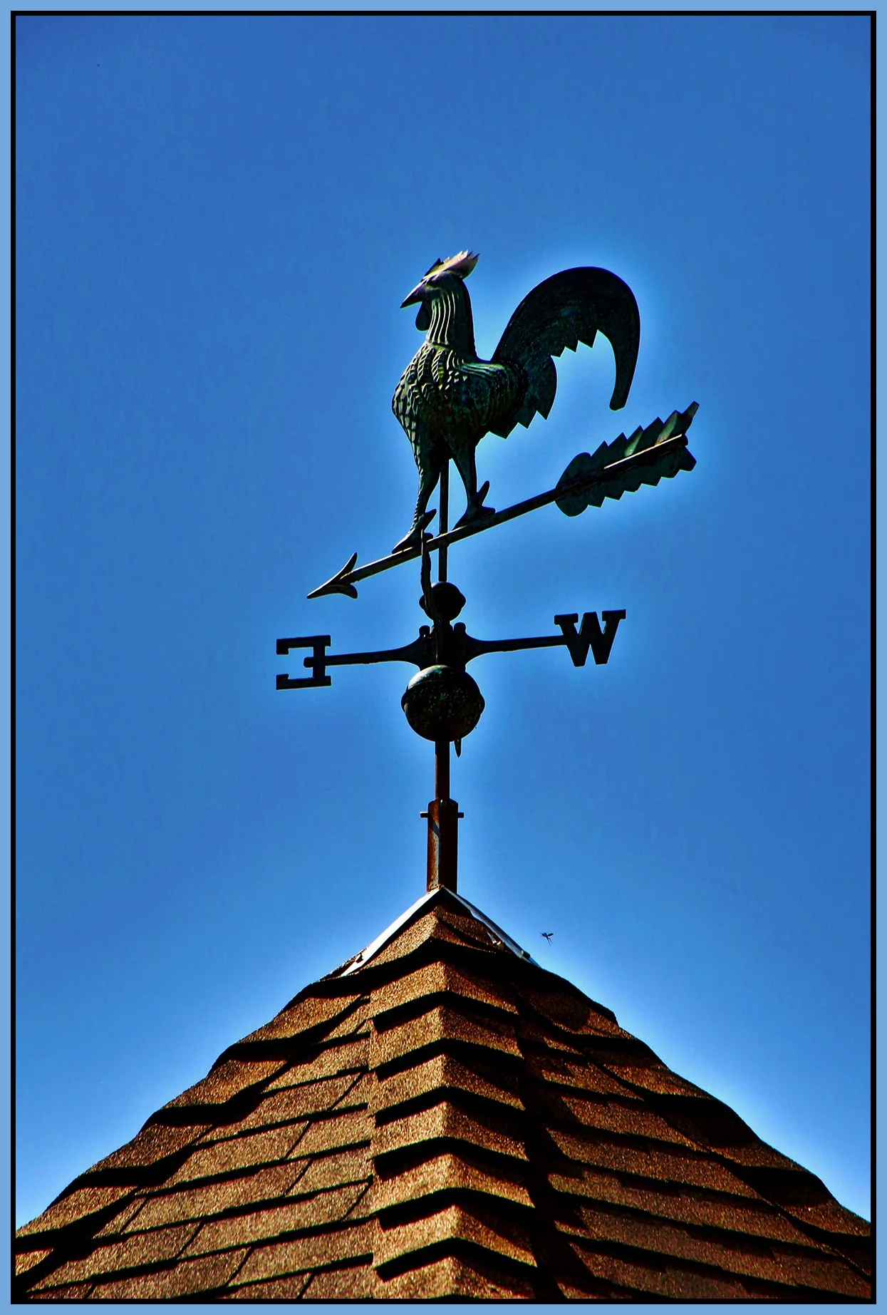 Weather Vane in New West_Jul 29_2019_HDR_A7977_peHdri_4x6s.jpg