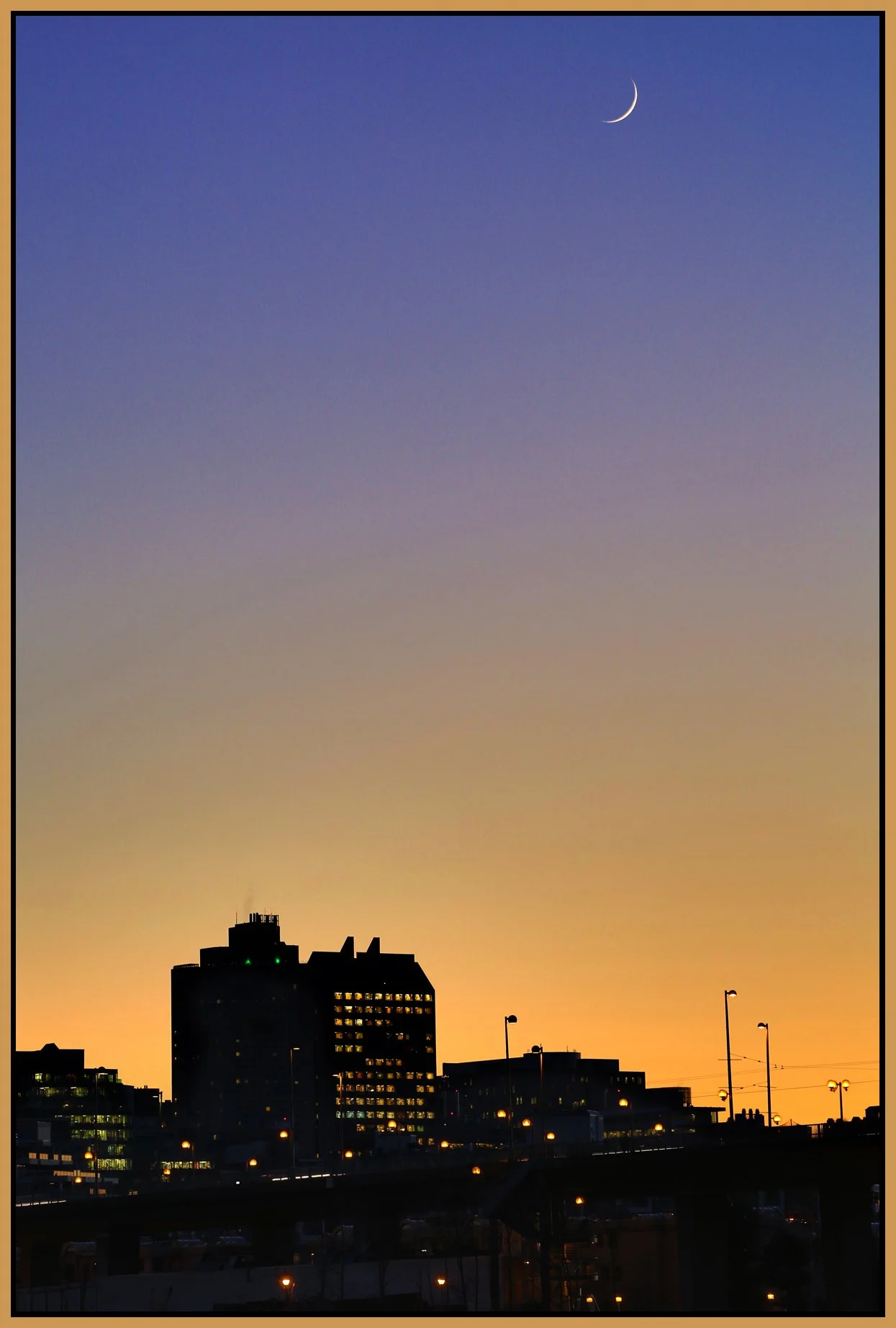 Cambie Bg Seawall_Dec 4_2013_HDR_D0817_4x6s.jpg