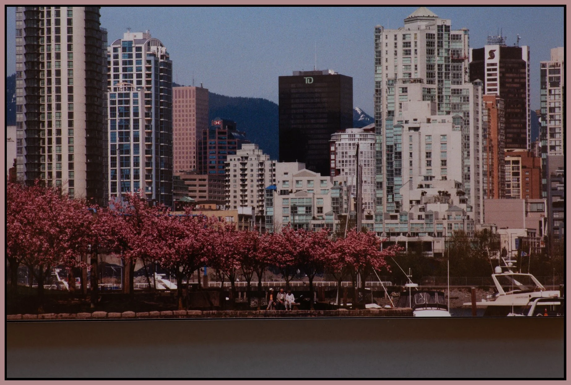 1.1 View False Ck_1998_9169_4x6s.jpg