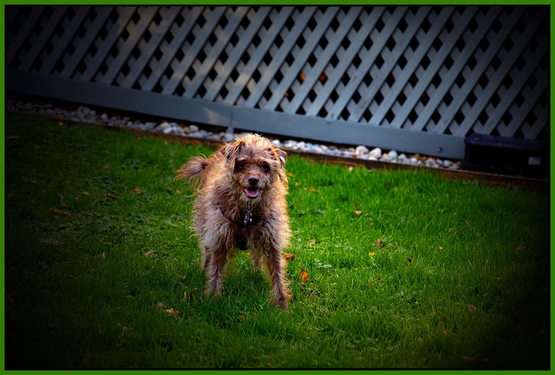 Frances_Oct 17_2024_CR2_5E3165_pePopDrkn_4x6s.jpg