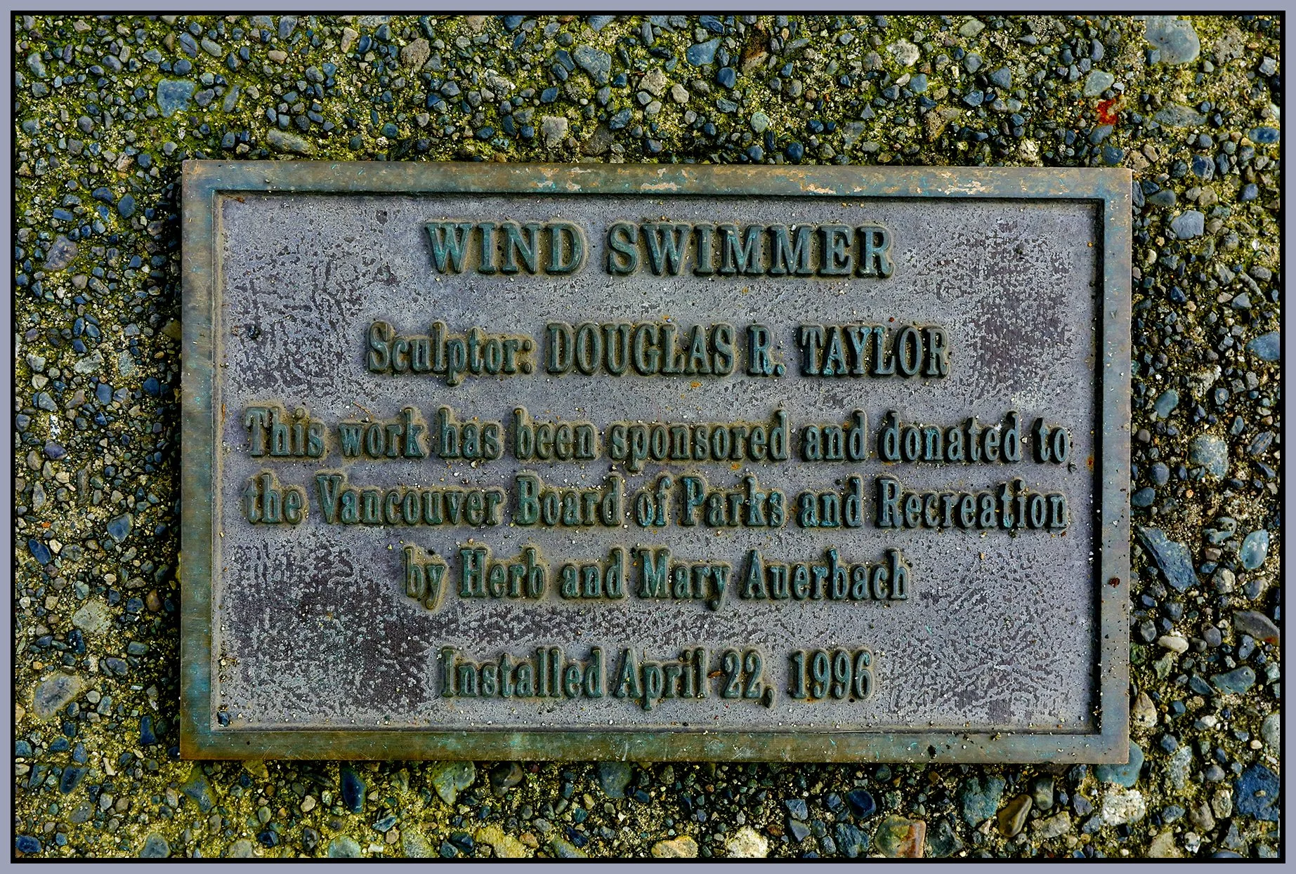 Wind Swimmer Plaque_Mar 20_2022_HDR_5B0797_4x6s.jpg