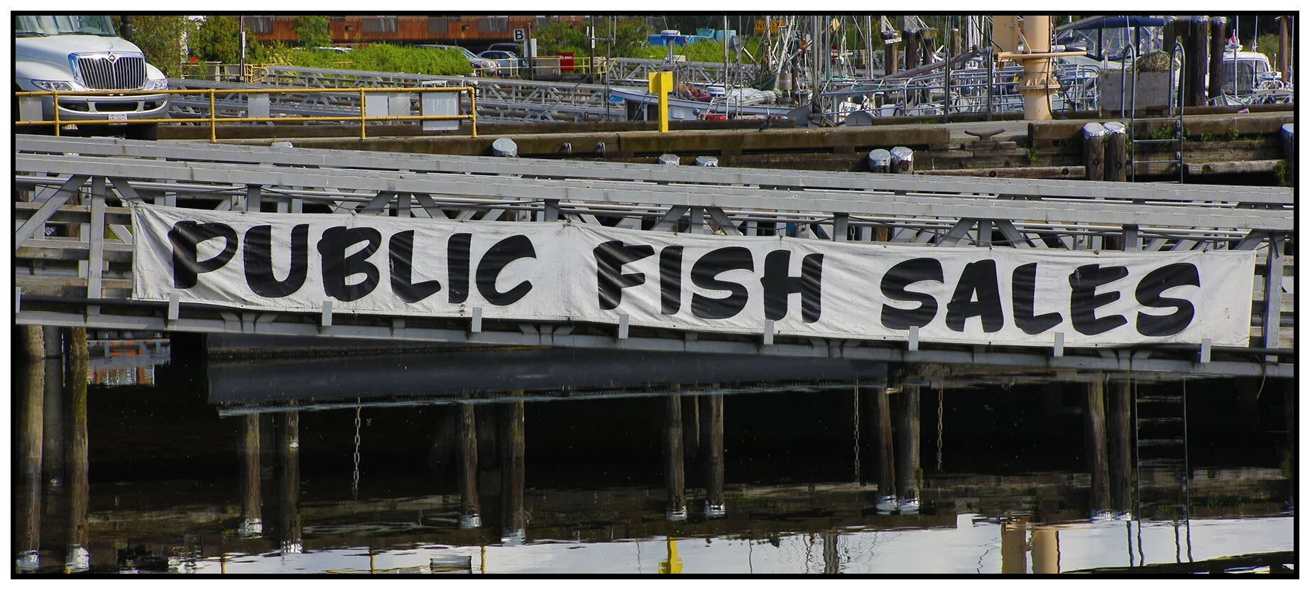 Public Fish Sales Sign_Jun 16_2021_HDR_V4G9851_3x6s.jpg