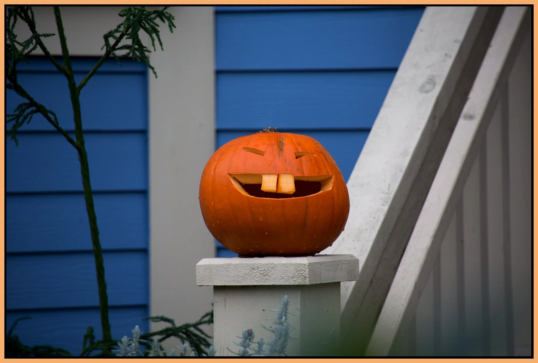 Pumpkins_Nov 1_2015_H9434_4x6s.jpg
