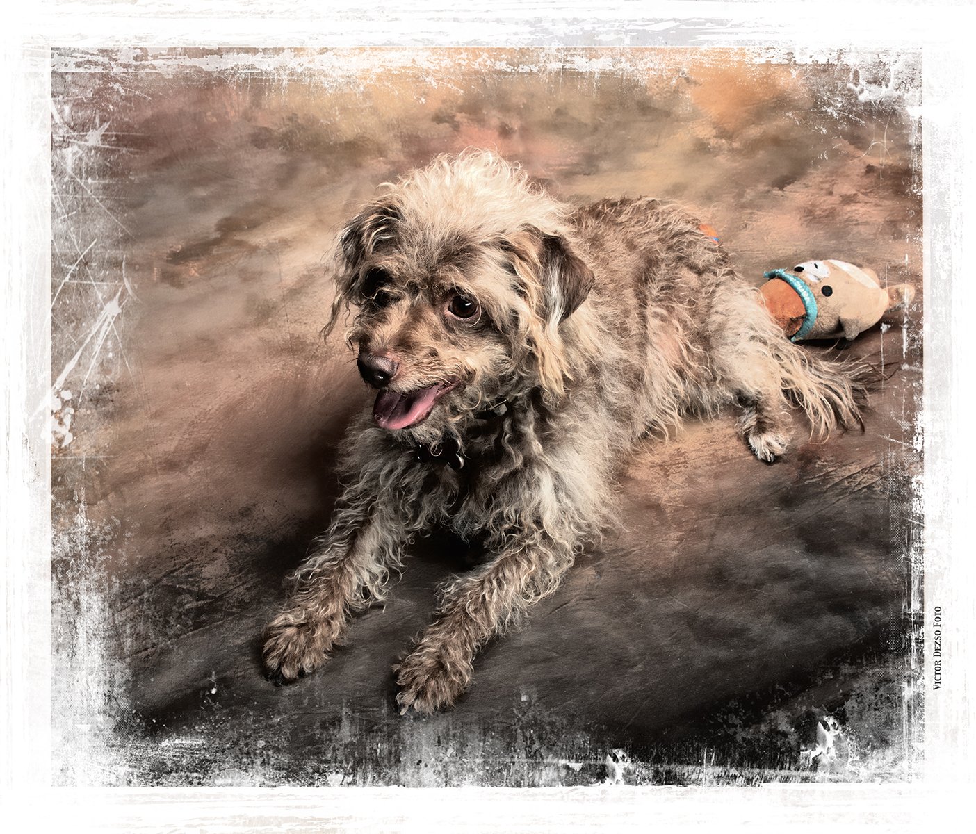 Frances_Jun 11_2023_4H7693_peGlossyCover_Lois1_4x5.jpg