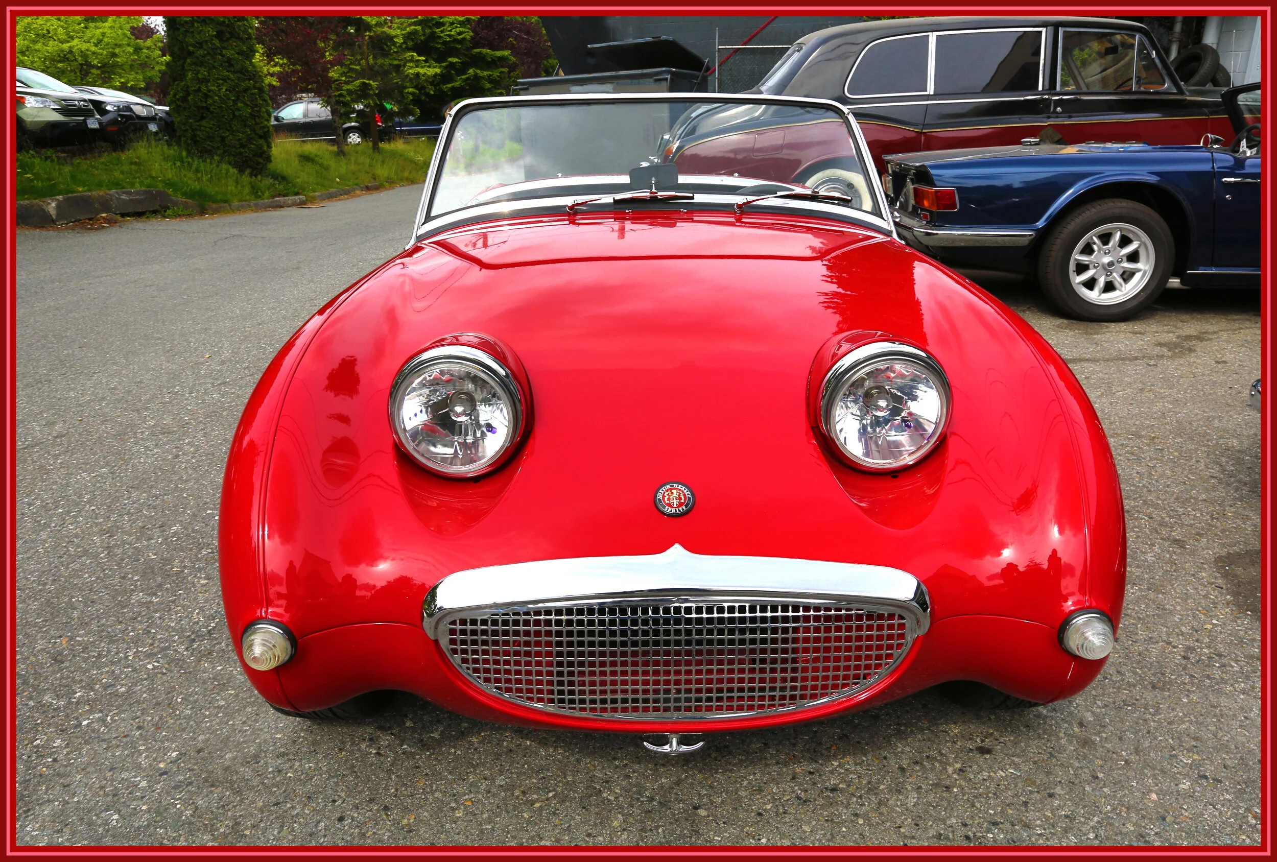 Bug Eyed Sprite_Jun 10_2014_HDR_F2807s.jpg