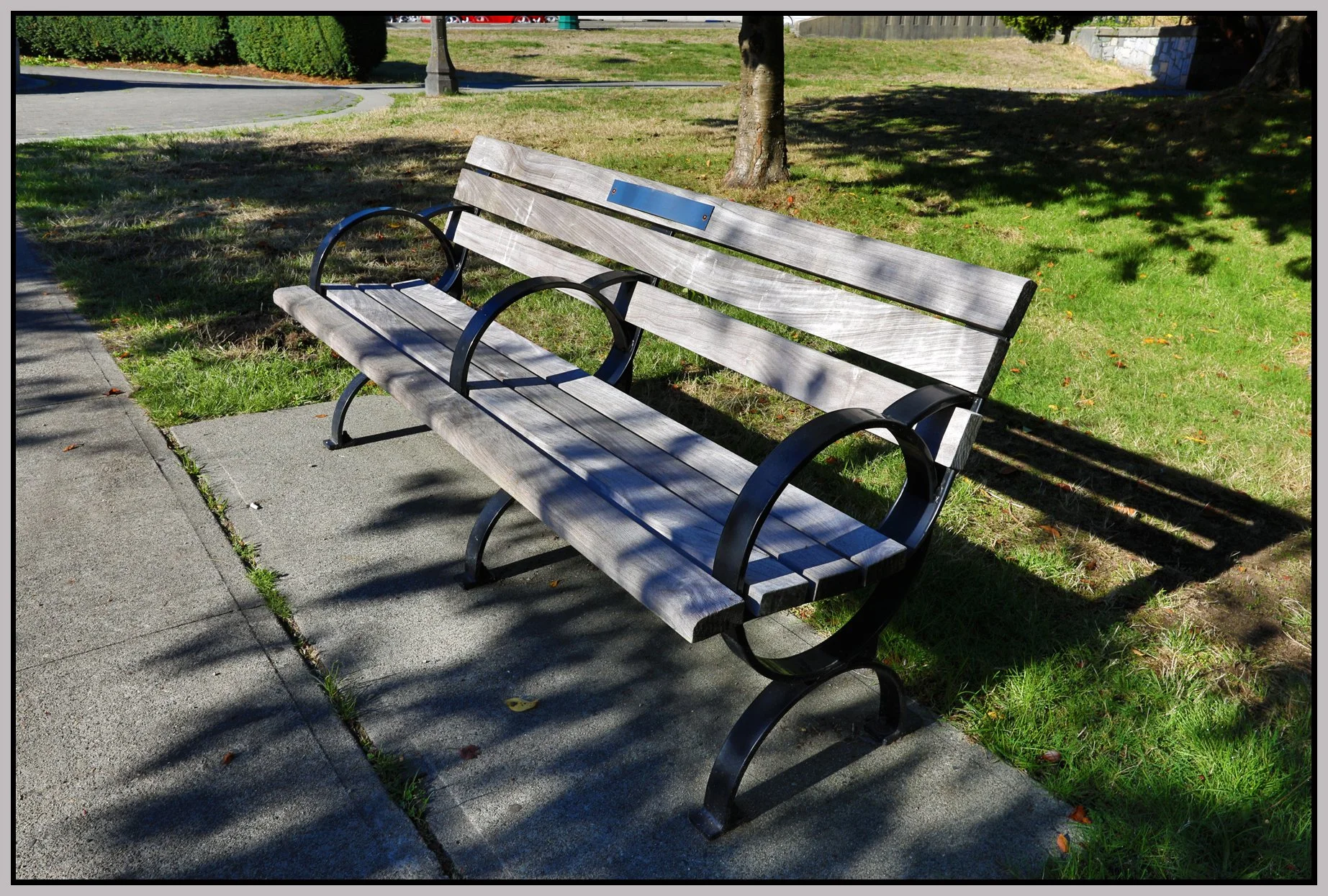 Bench in Stanley Pk_Sep 27_2017_HDR_B6138_4x6s.jpg