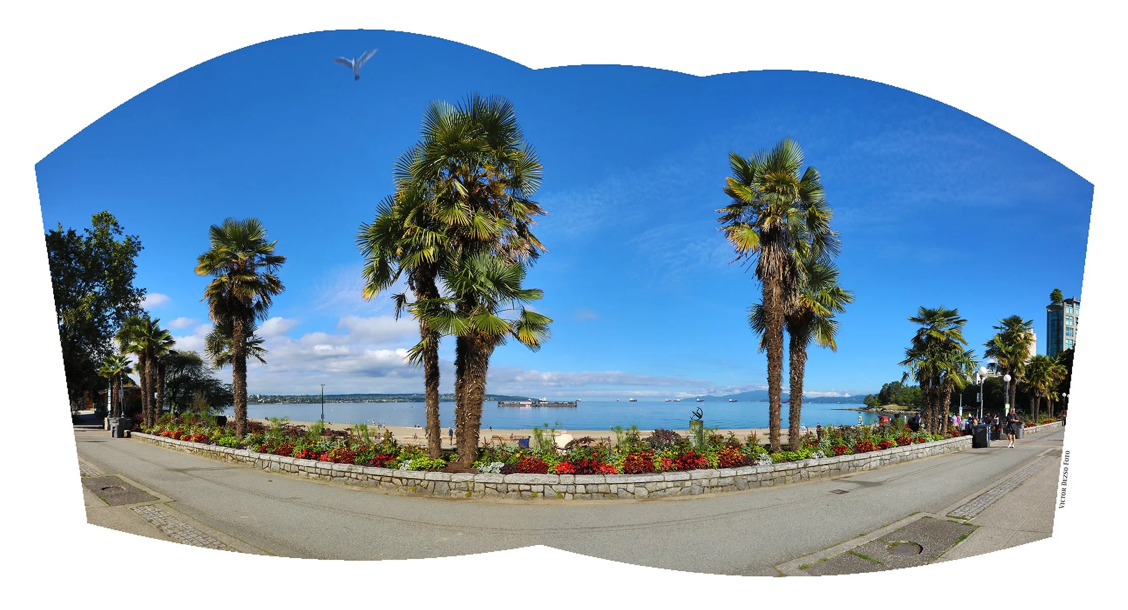 English Bay Beach Ave Palms_Jul 12_2025_HDR_Pan_4J8097_4x7.jpg