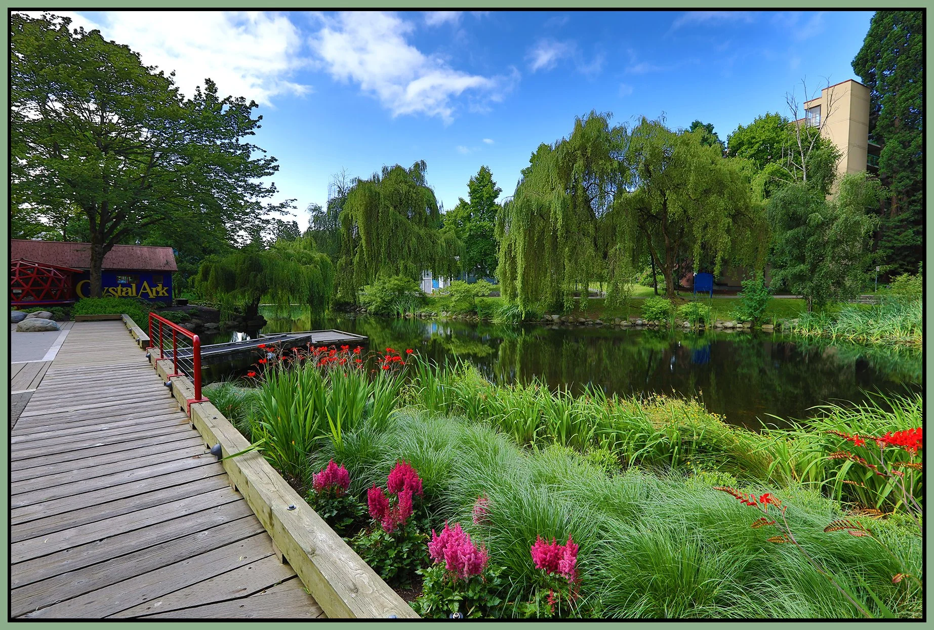 Granville Island Duck Pond_Jul 13_2022_HDR_5B0845_4x6s.jpg