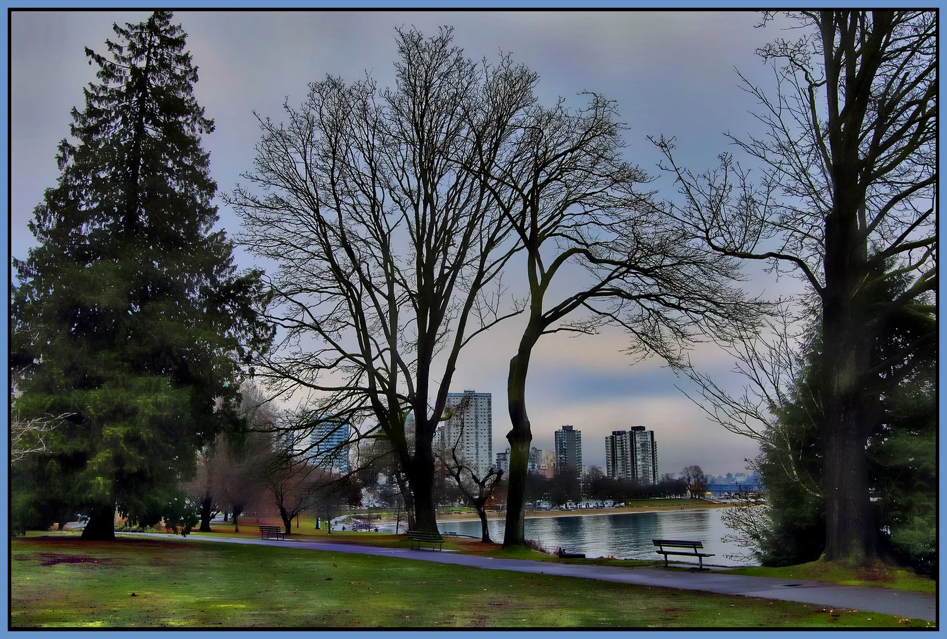 English Bay Trees_Dec 11_2023_HDR_5E2288_peHdr2013_1_4x6s.jpg