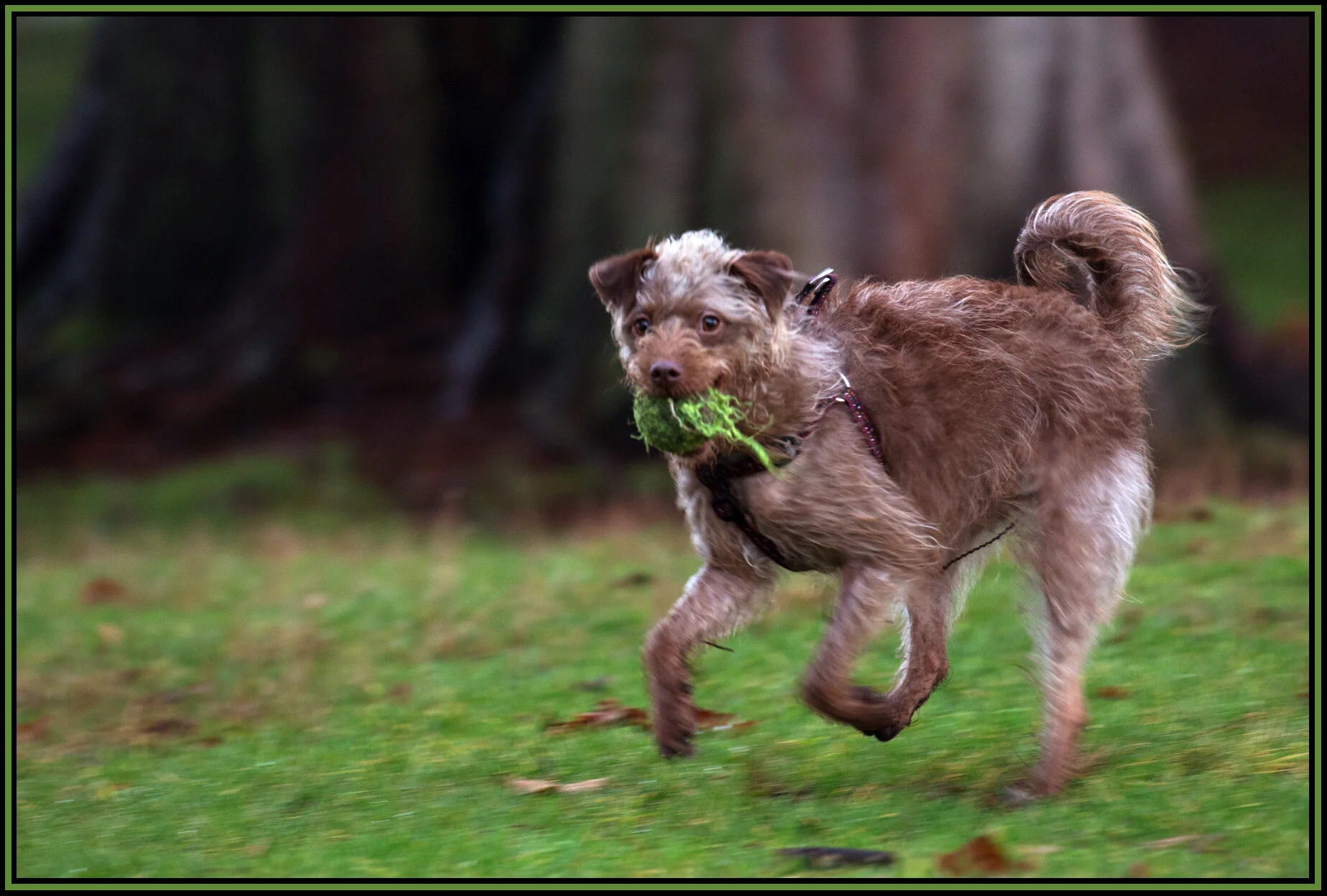 Frances in Cates Pk_Jan 24_2016_K7169_4x6s.jpg