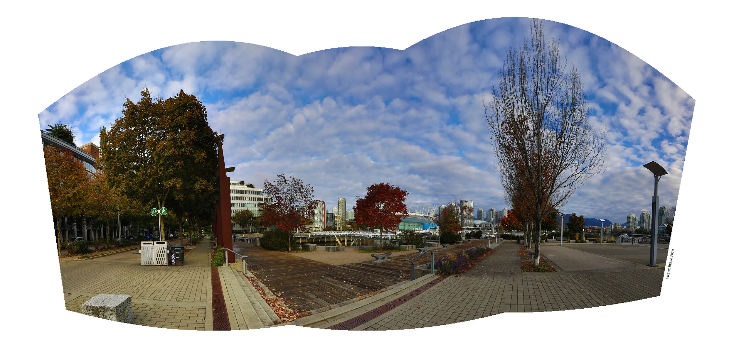 The Village Trees_Oct 7_2021_HDR_Pan_5A5556_4x8.jpg