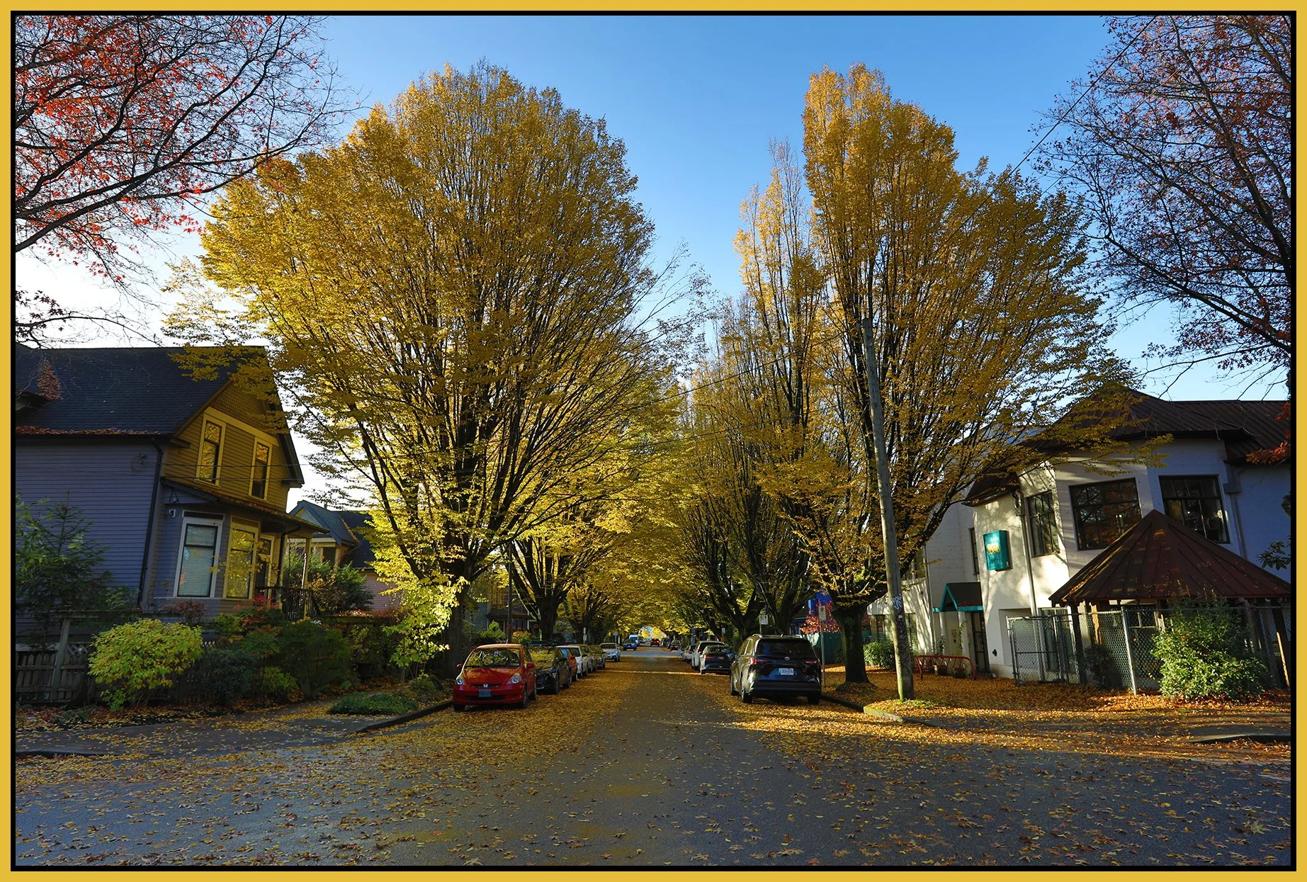 700 Princess LkgS Trees_Nov 7_2023_HDR_5C9316_4x6s.jpg