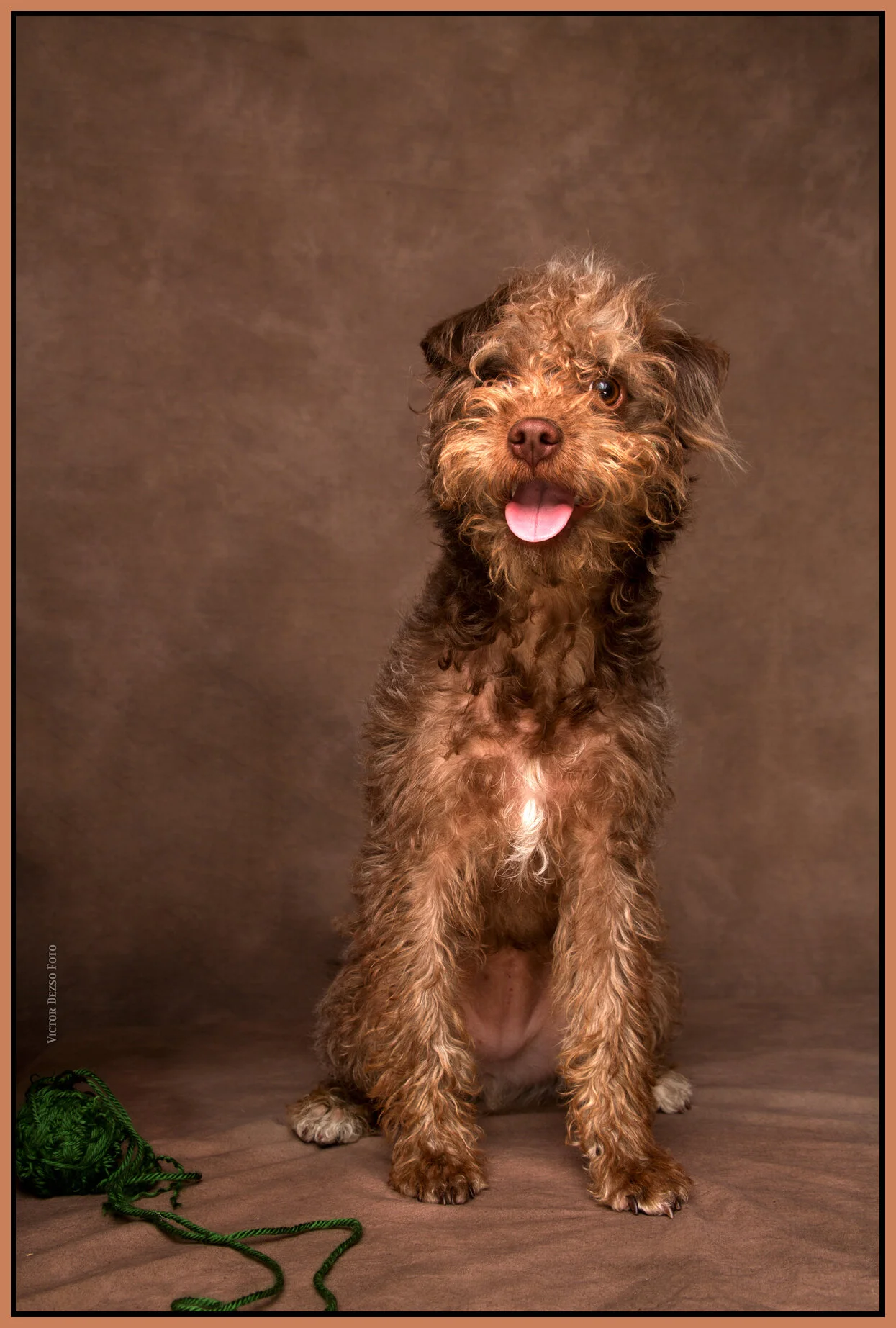 Frances Stewart_Apr 15_2015_F3519_1_4x6s.jpg