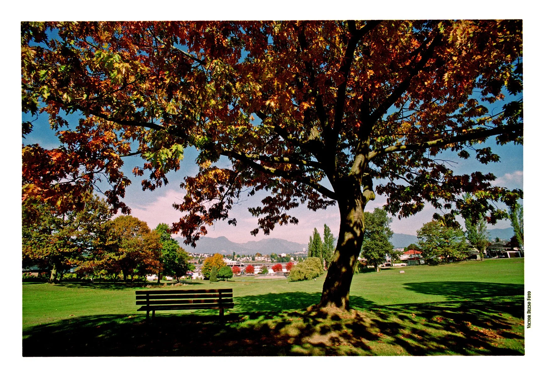 Falaise PK_10_12_02_26a_4x6s.jpg