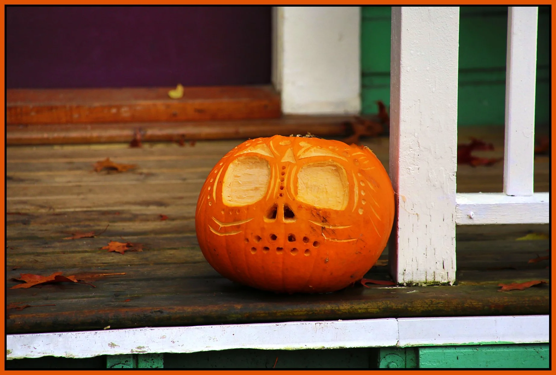 Pumpkin_Nov 2_2015_HDR_FH9597_4x6s.jpg