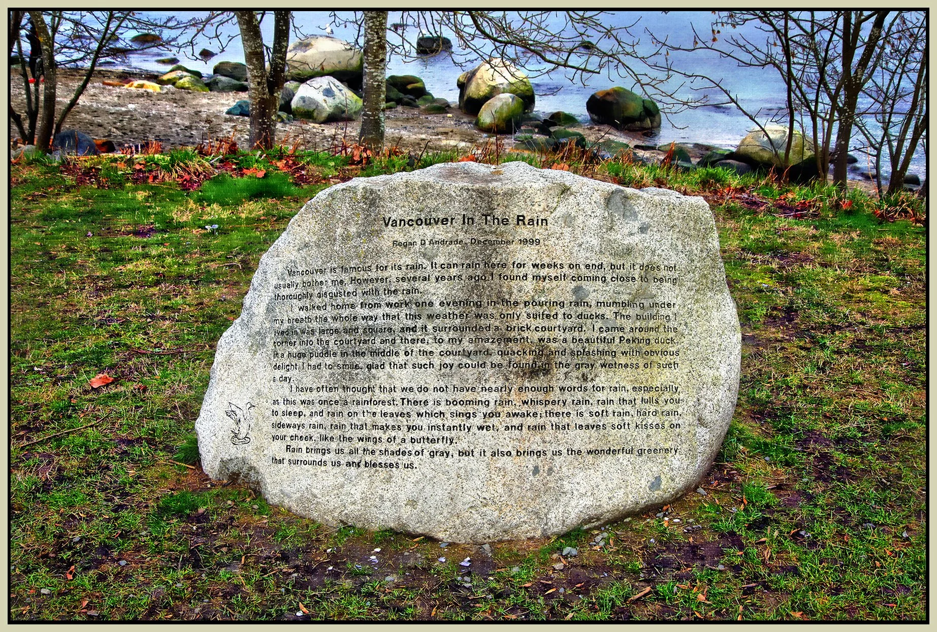 Vancouver in the Rain Rock Kits_Feb 15_2023_HDR_5D4162_peLightMeUpVign_Hdr2013_1_4x6s.jpg