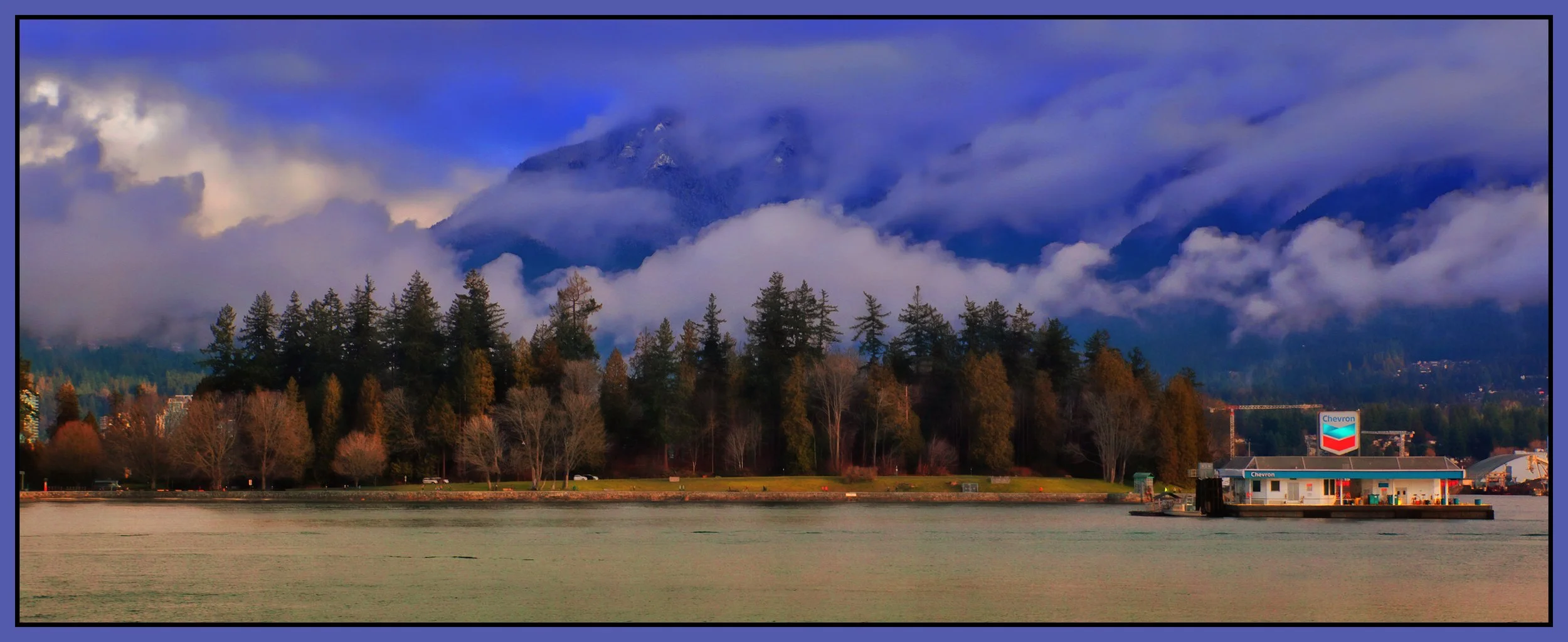 Stanley Park Trees LkgN_Feb 14_2026_HDR_4K8527Pan_peShdngCntrst_W&Ccontrst_4x10s.jpg