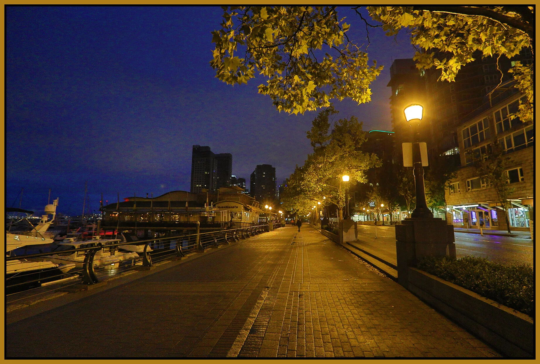 Coal Harbour Seawall LkgE_Oct 3_2021_HDR_5A4496_4x6s.jpg