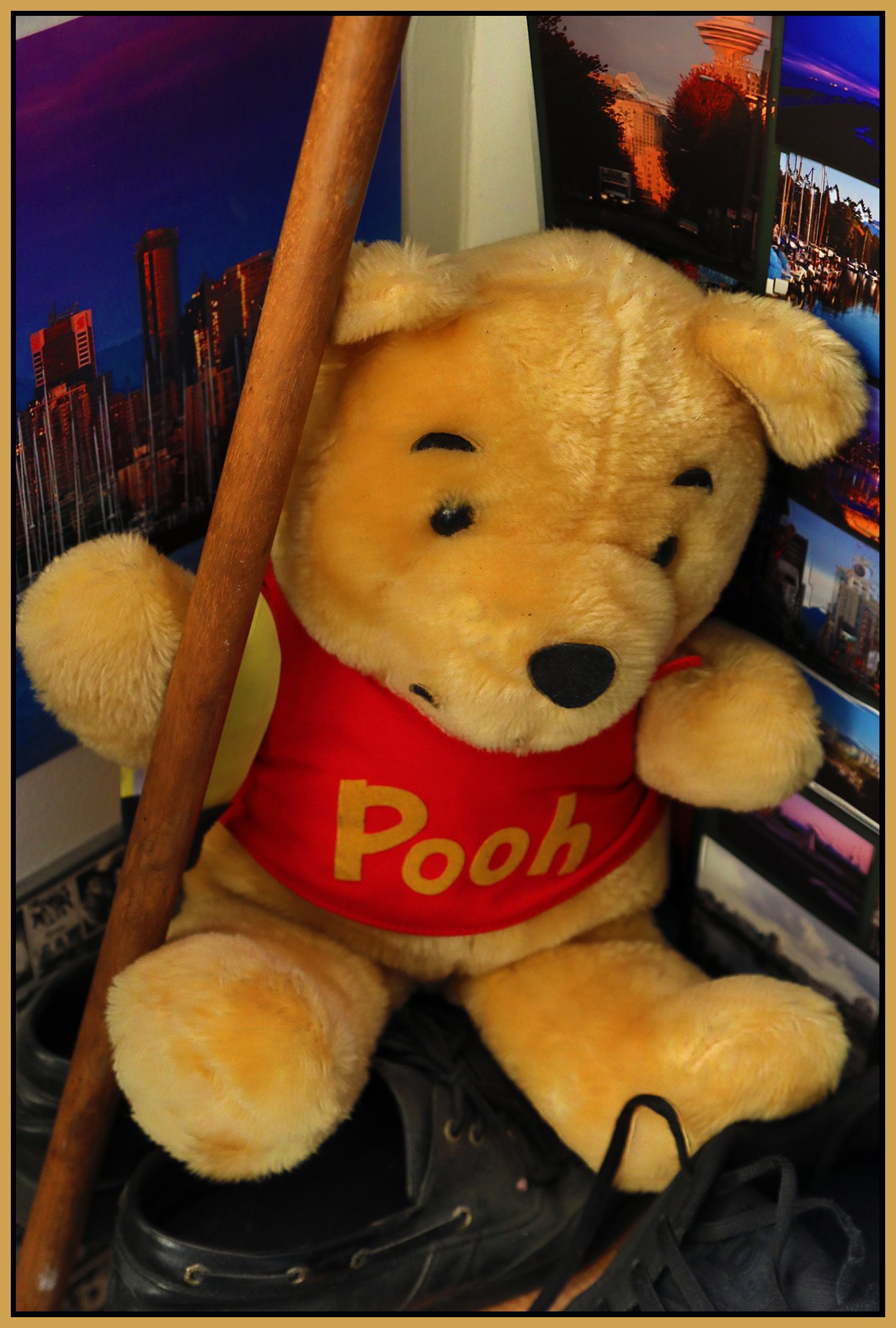 Pooh_July 14_2018_HDR_C1895_4x6s.jpg