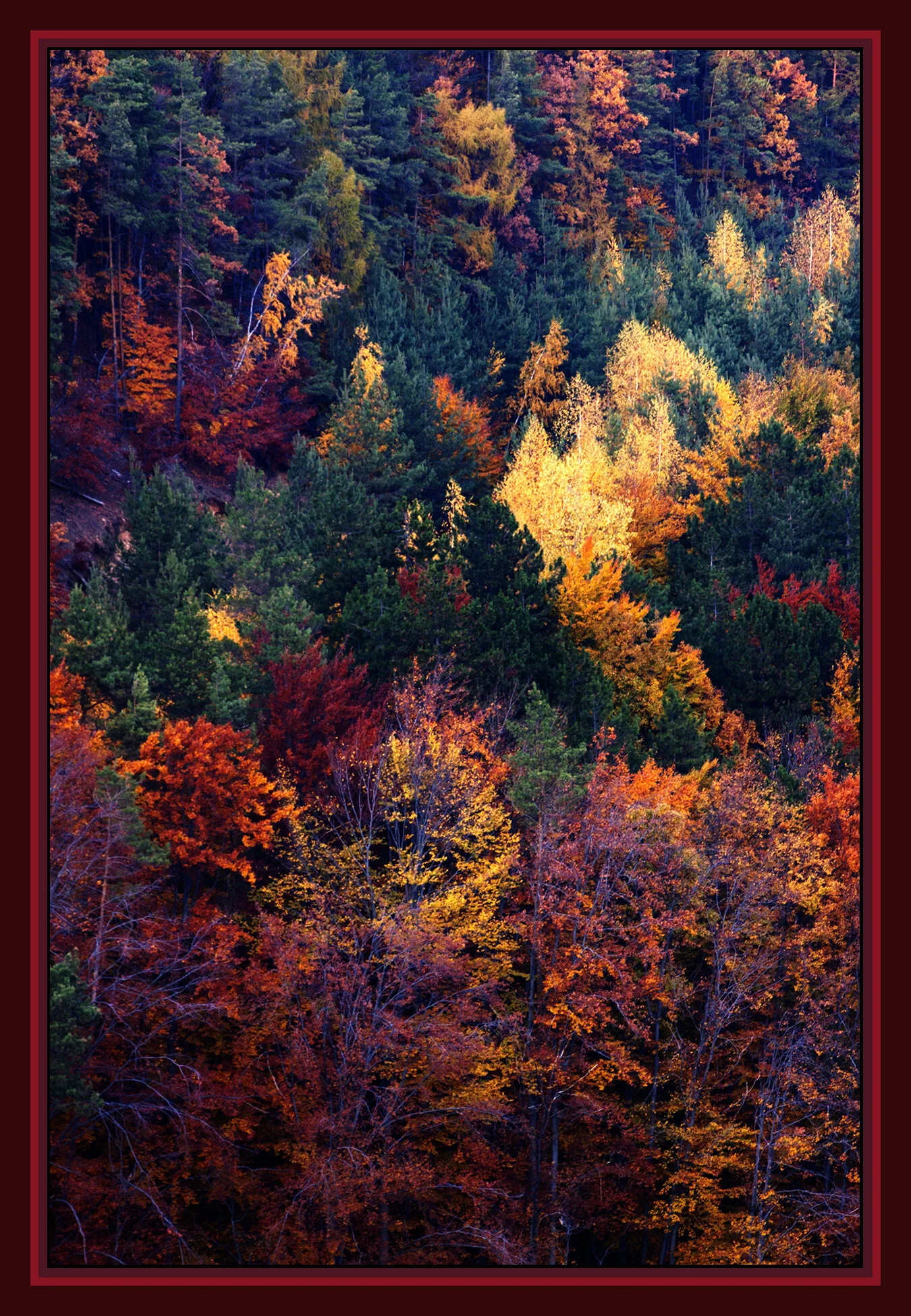 Mátra_Nov 1_2011_4178_peSmrtCntrst_4x6s.jpg