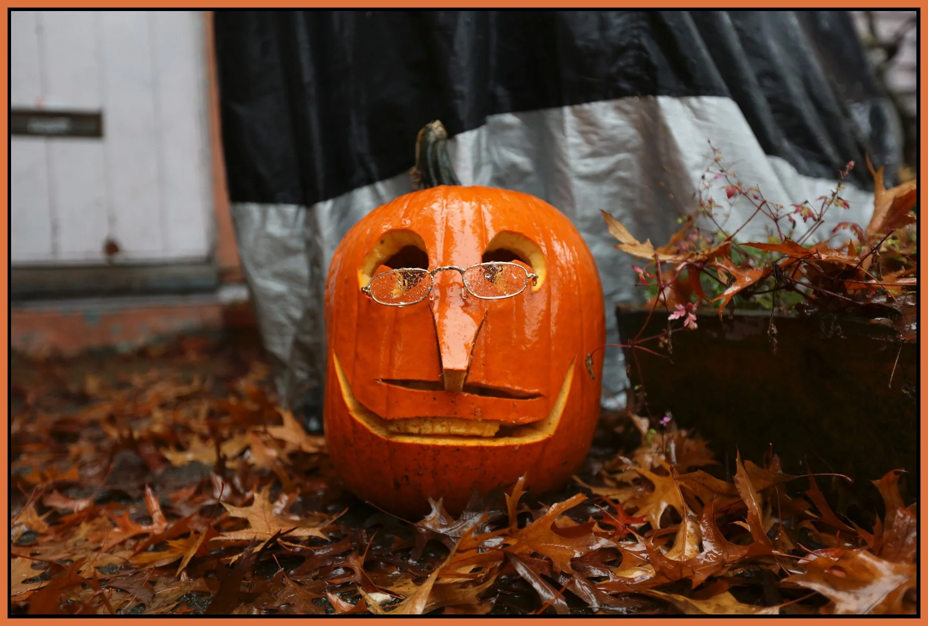 Pumpkins_Nov 4_2012_HDR_C3387_4x6s.jpg