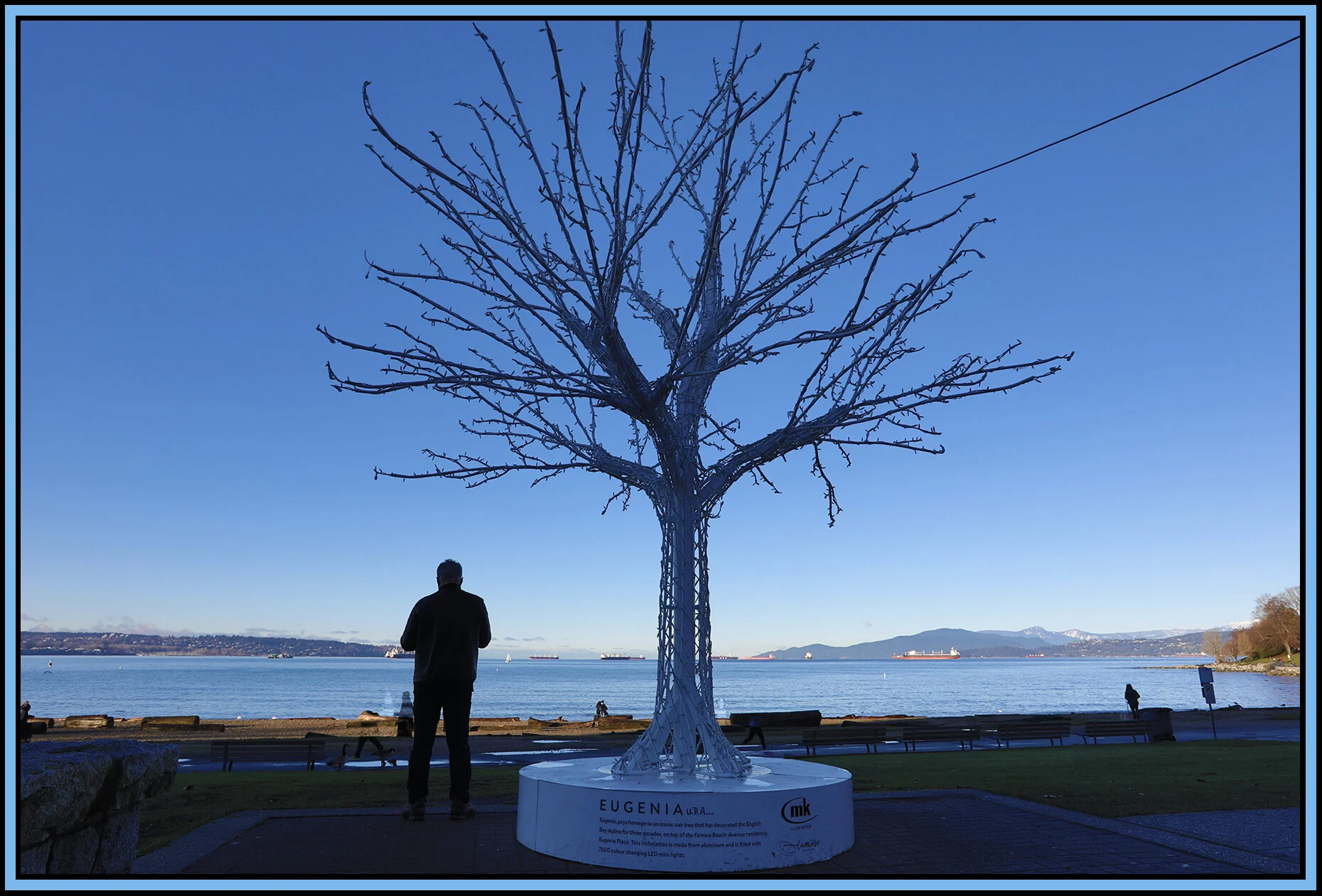 English Bay Vancouver_Dec 30_2018_HDR_D0269_4x6s.jpg