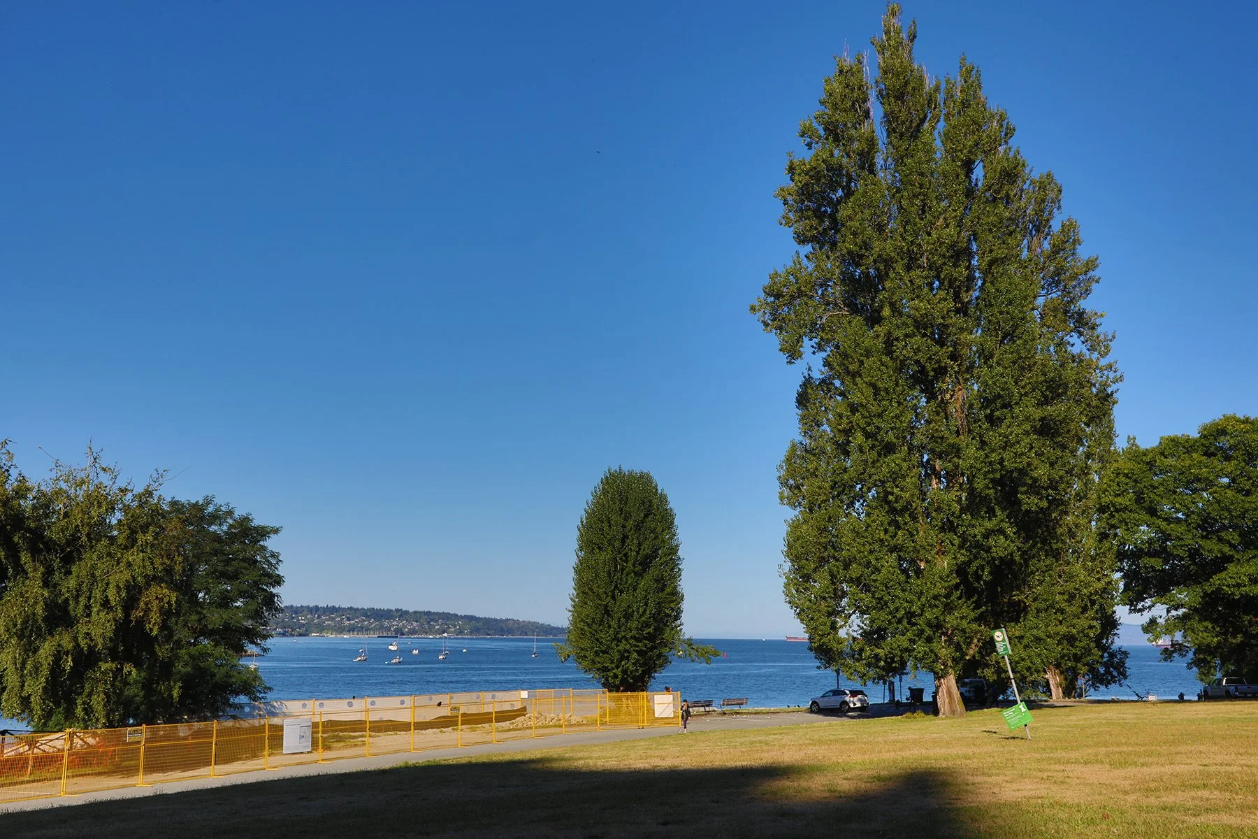 English Bay Tree_Aug 23_2025_HDR_4K1724_4x6.jpg