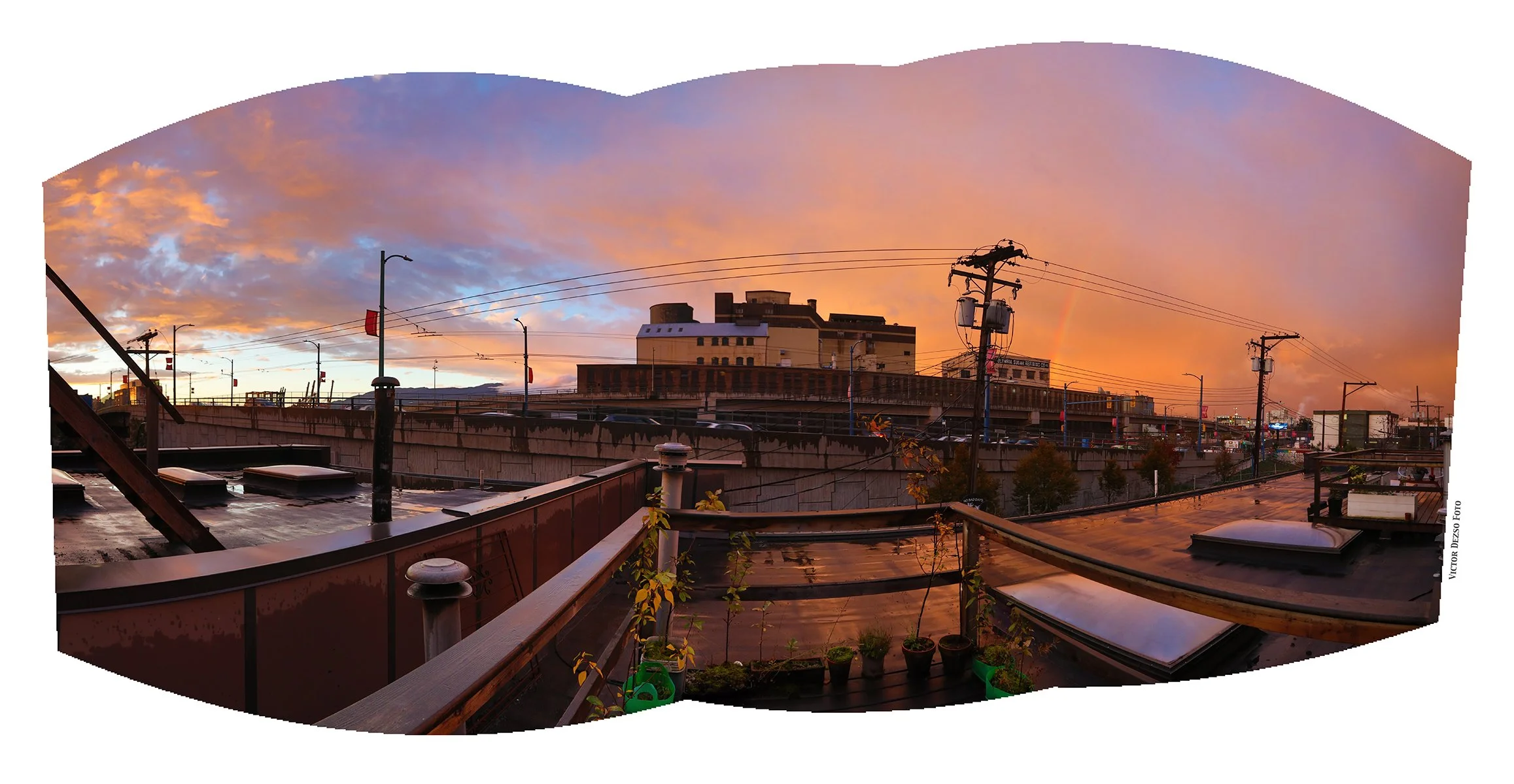 301 Raymur LkgN_Oct 9_2024_HDR_Pan_5E2430_4x8.jpg