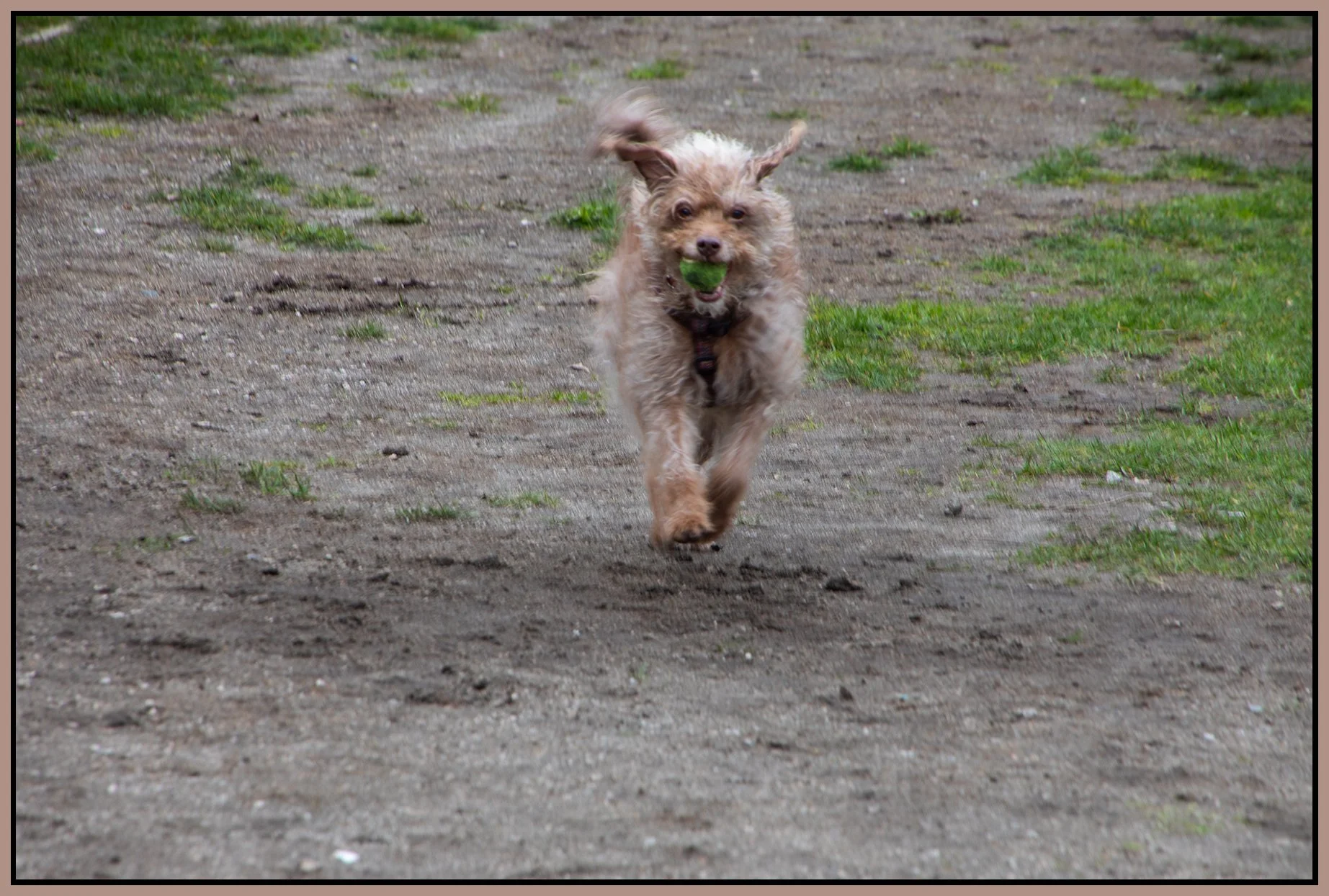 Frances Fetching_Apr 2_2026_CR2_4L0820_4x6s.jpg