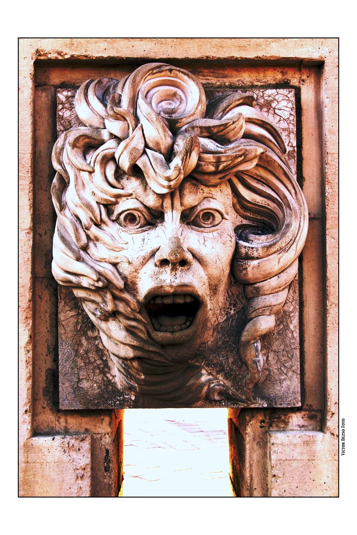 PNE Faces_2685_1_4x6.jpg