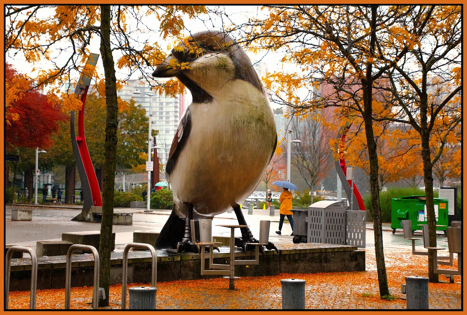 The Village Trees & Art_Oct 14_2024_HDR_4J4345_peHyprstrip-4x6s.jpg