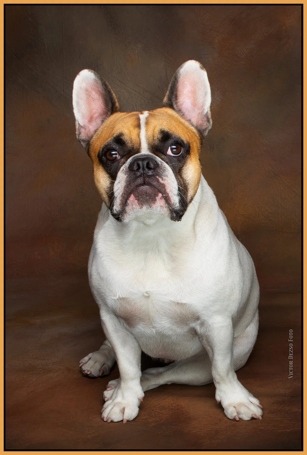 Nova_Aug 27_2023_CR2_5C5212_4x6s.jpg