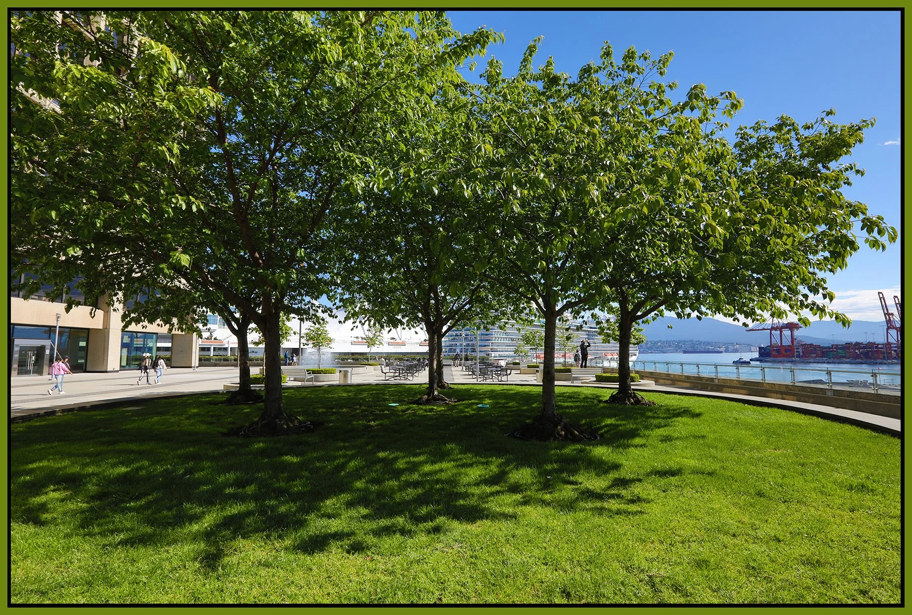 200 Granville Trees_May 21_2022_HDR_5B5010_4x6s.jpg