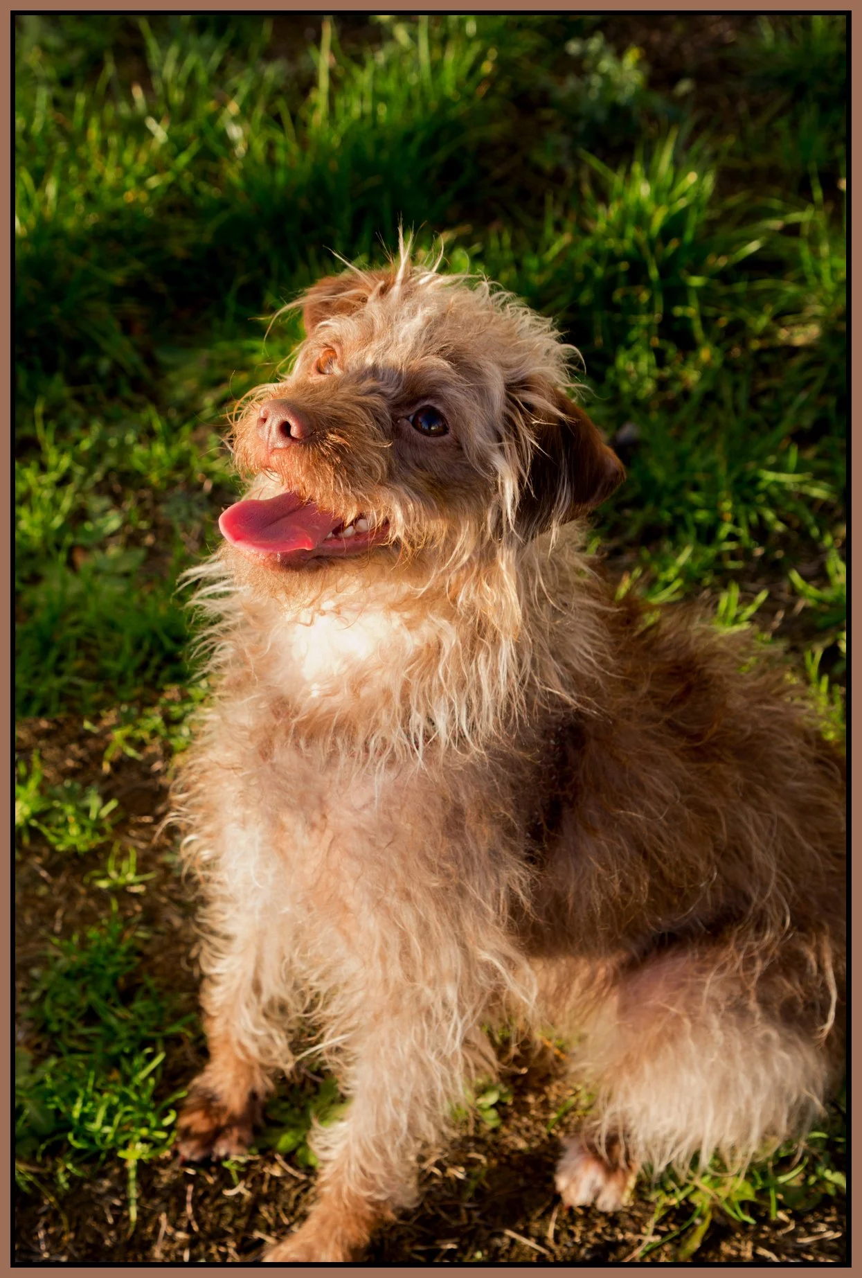 Frances Stewart_Dec 11_2015_H8465_4x6s.jpg