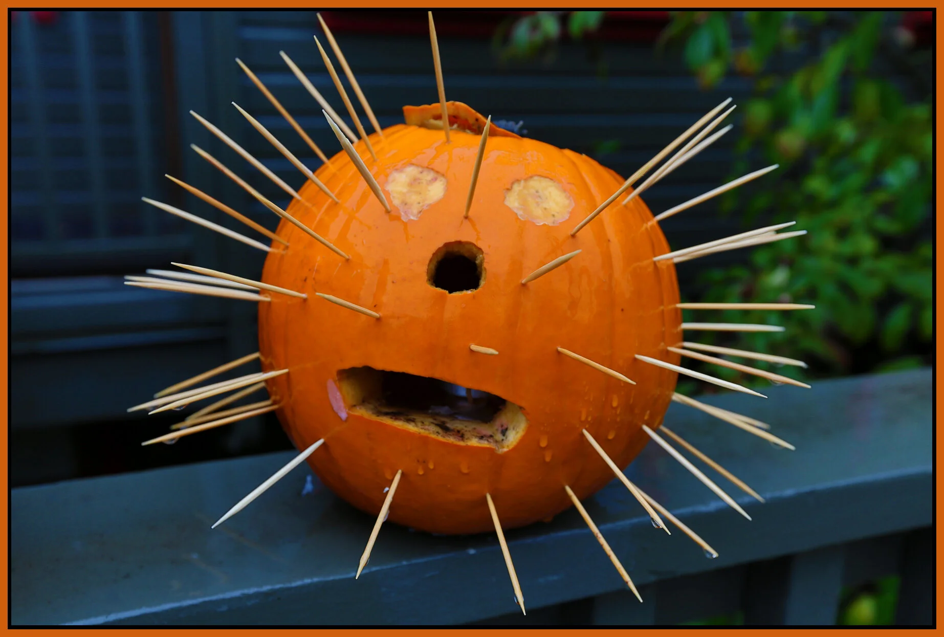 Pumpkins_Oct 31_2012_HDR_C2642_4x6s.jpg